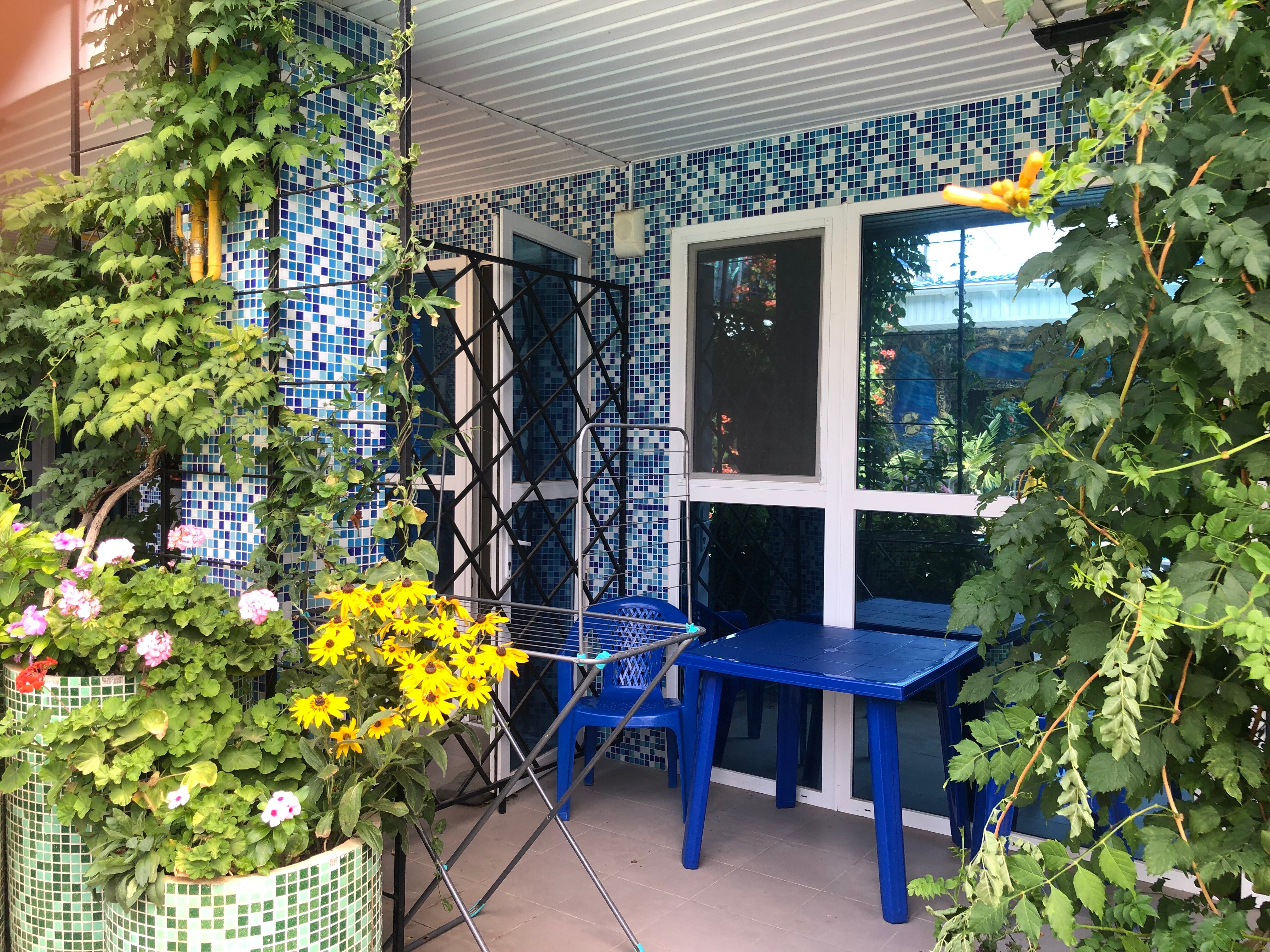 Фото Золотая рыбка