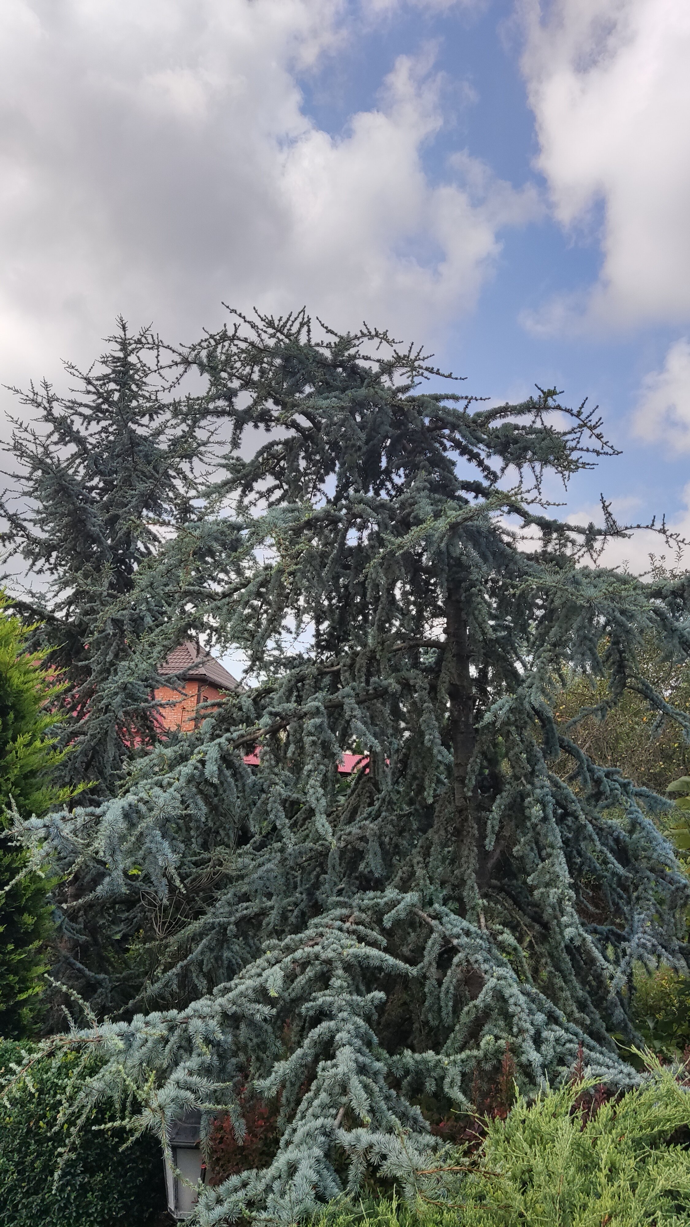 Фото Саксония