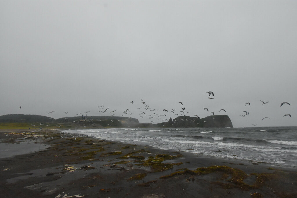 Mountain peak Мыс Сукачева, Sakhalin District, photo
