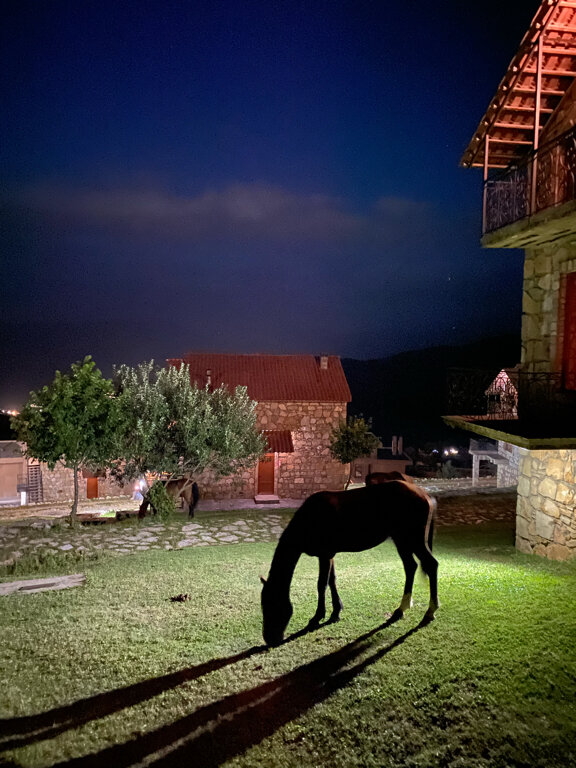 Фото Апага Резорт