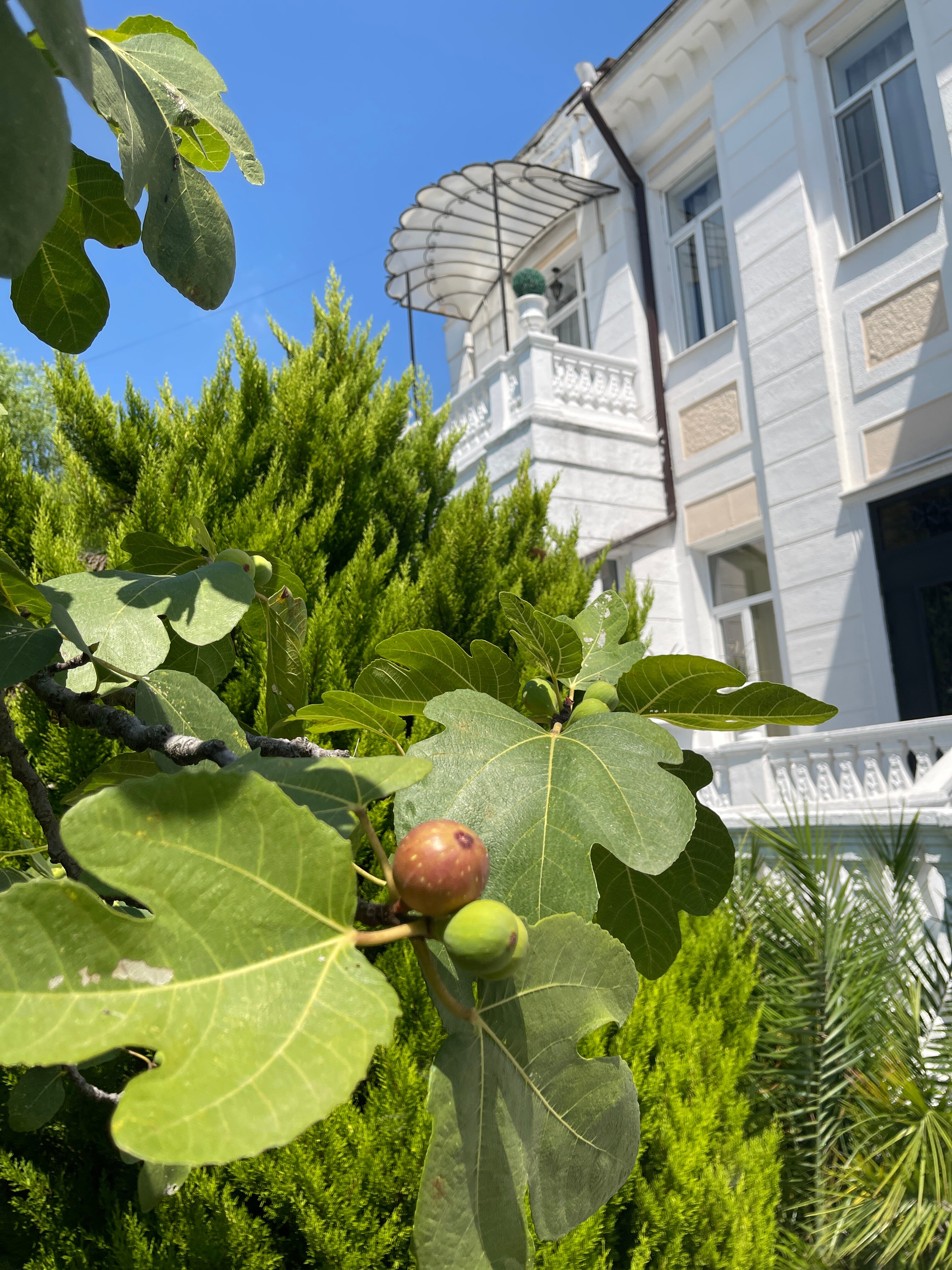 Фото Белый дом балерины