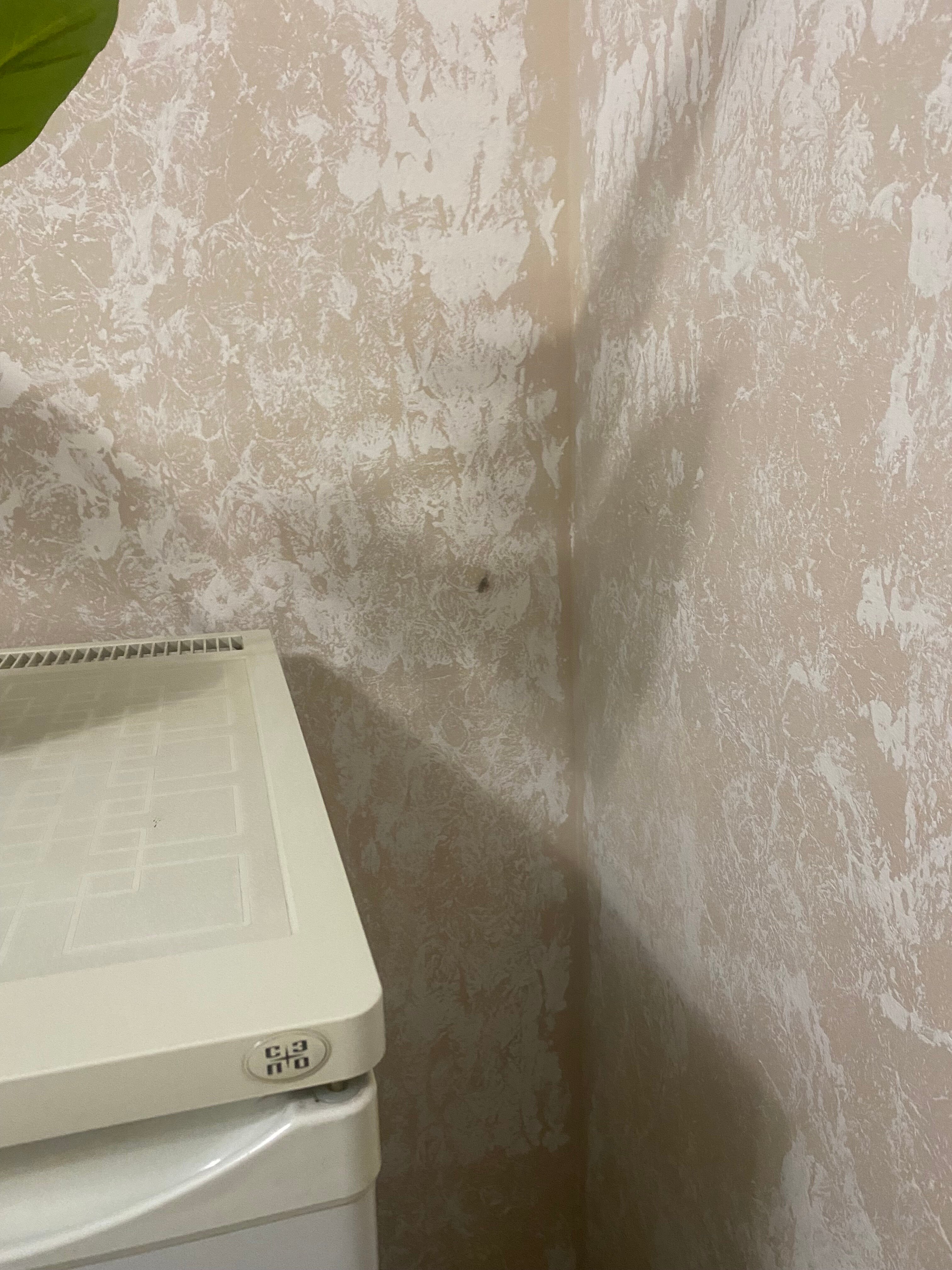 Фото Гостиница Бизнес центр