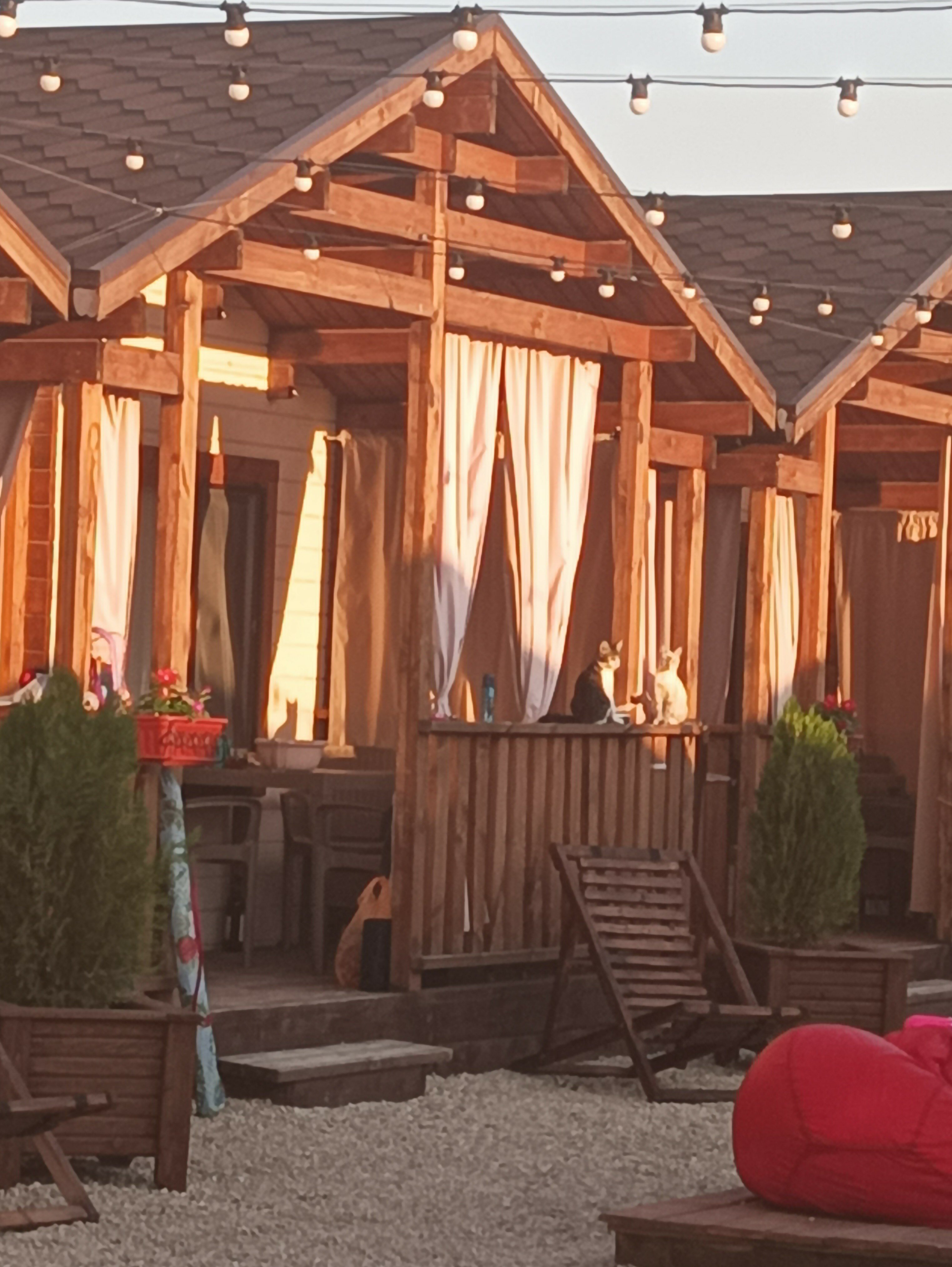 Фото Хронос