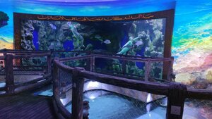The National Aquarium (Al Khaleej Al Arabi Street, 372), oceanarium