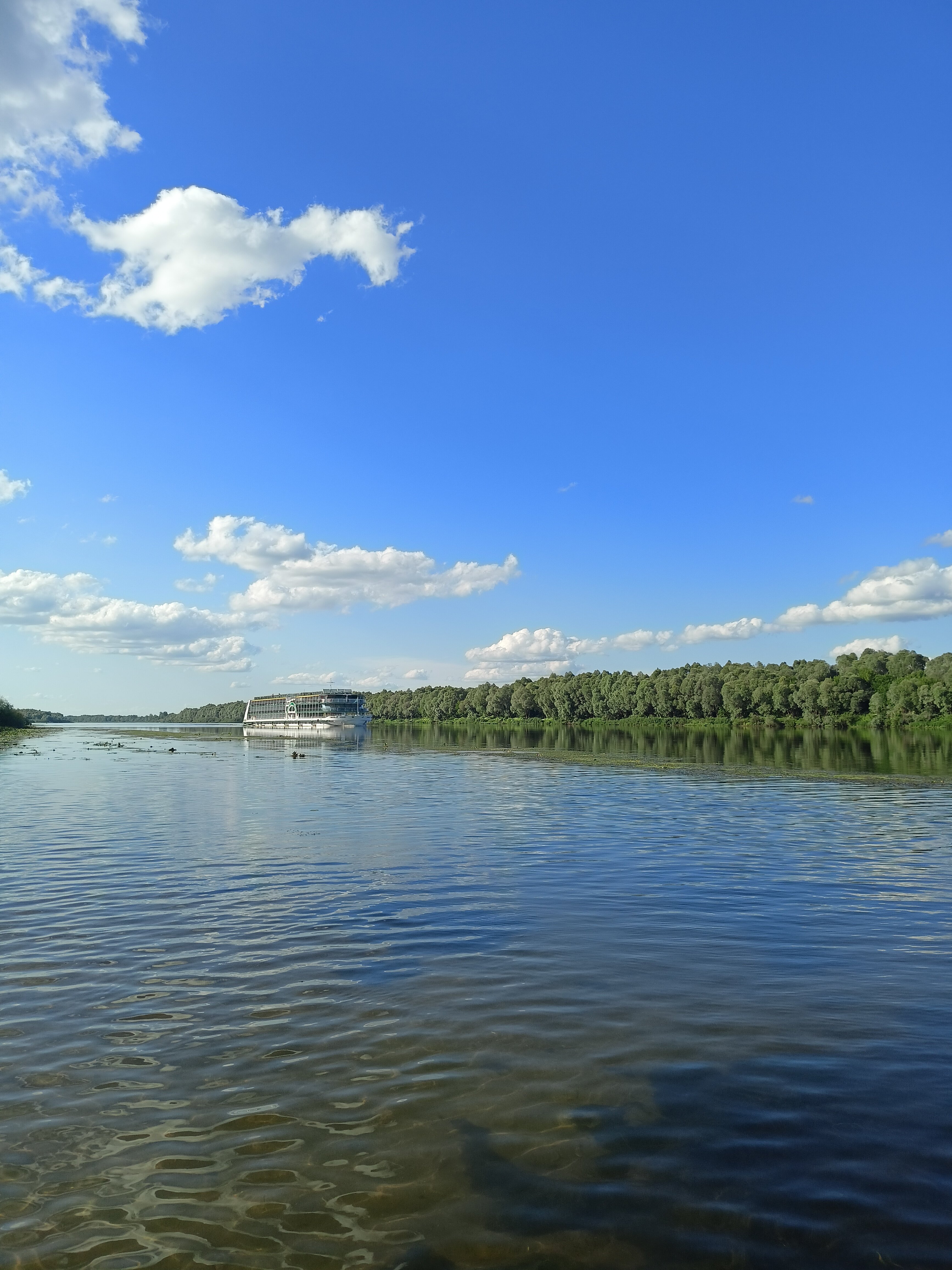 Фото Окский берег