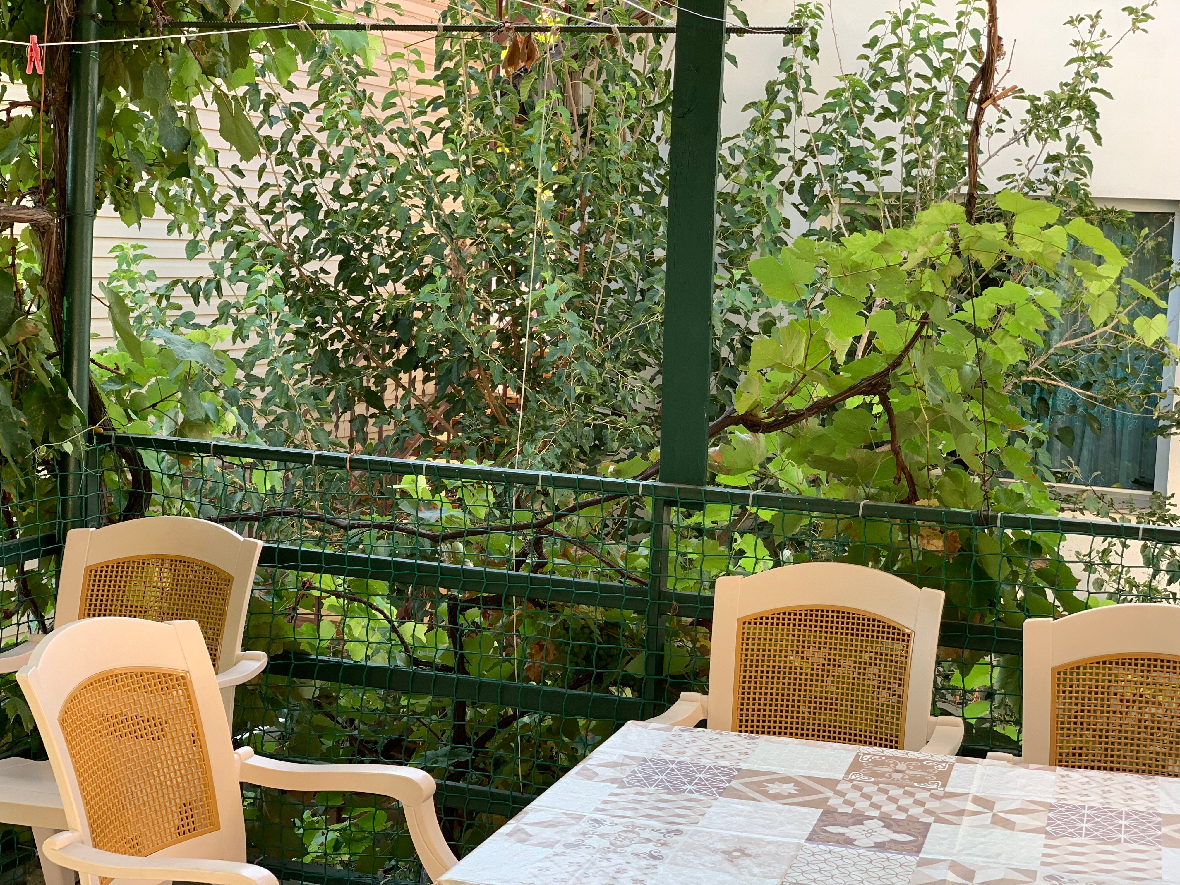 Фото Merci.дом