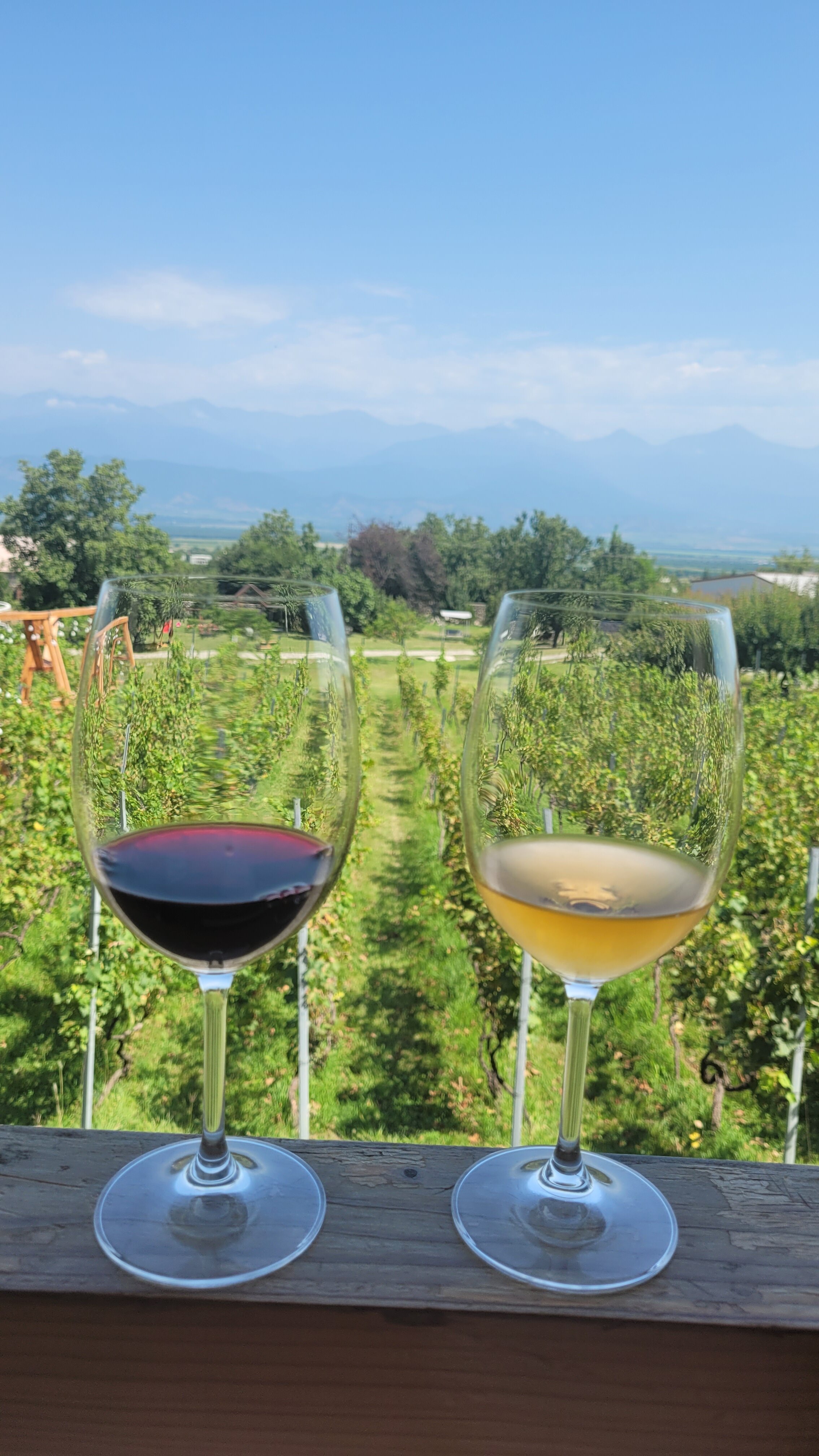 Фото Schuchmann Wines Chateau & SPA