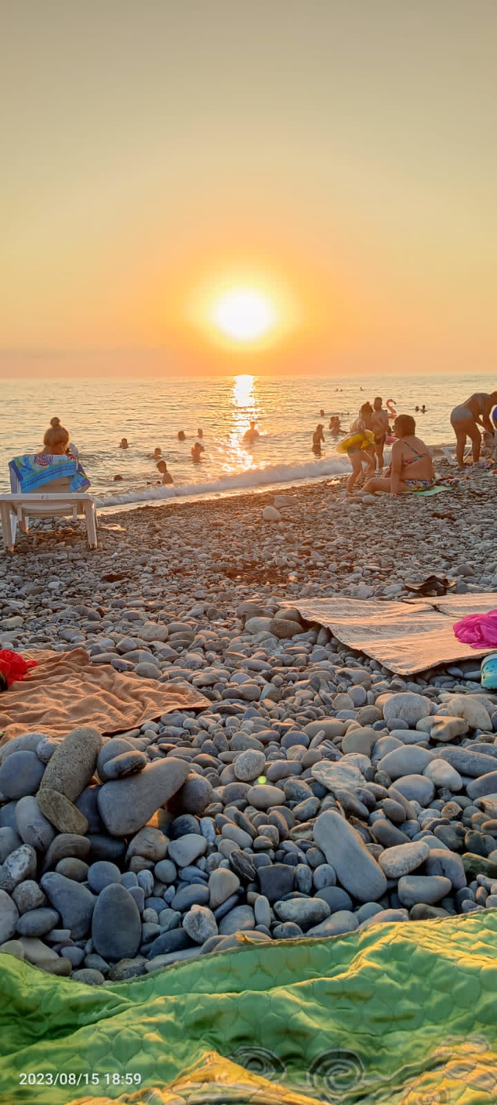 Фото Ариода