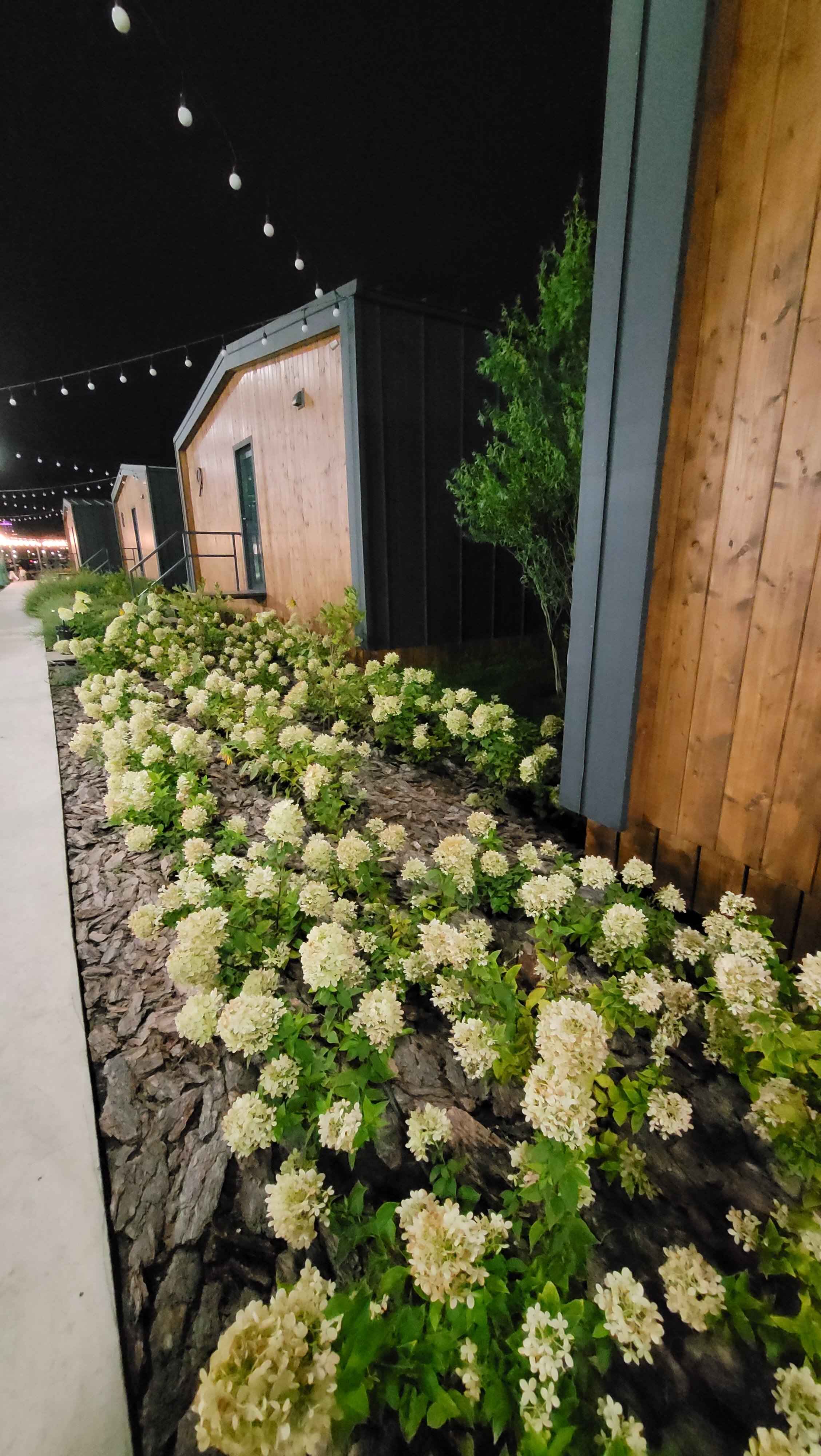 Фото Негород