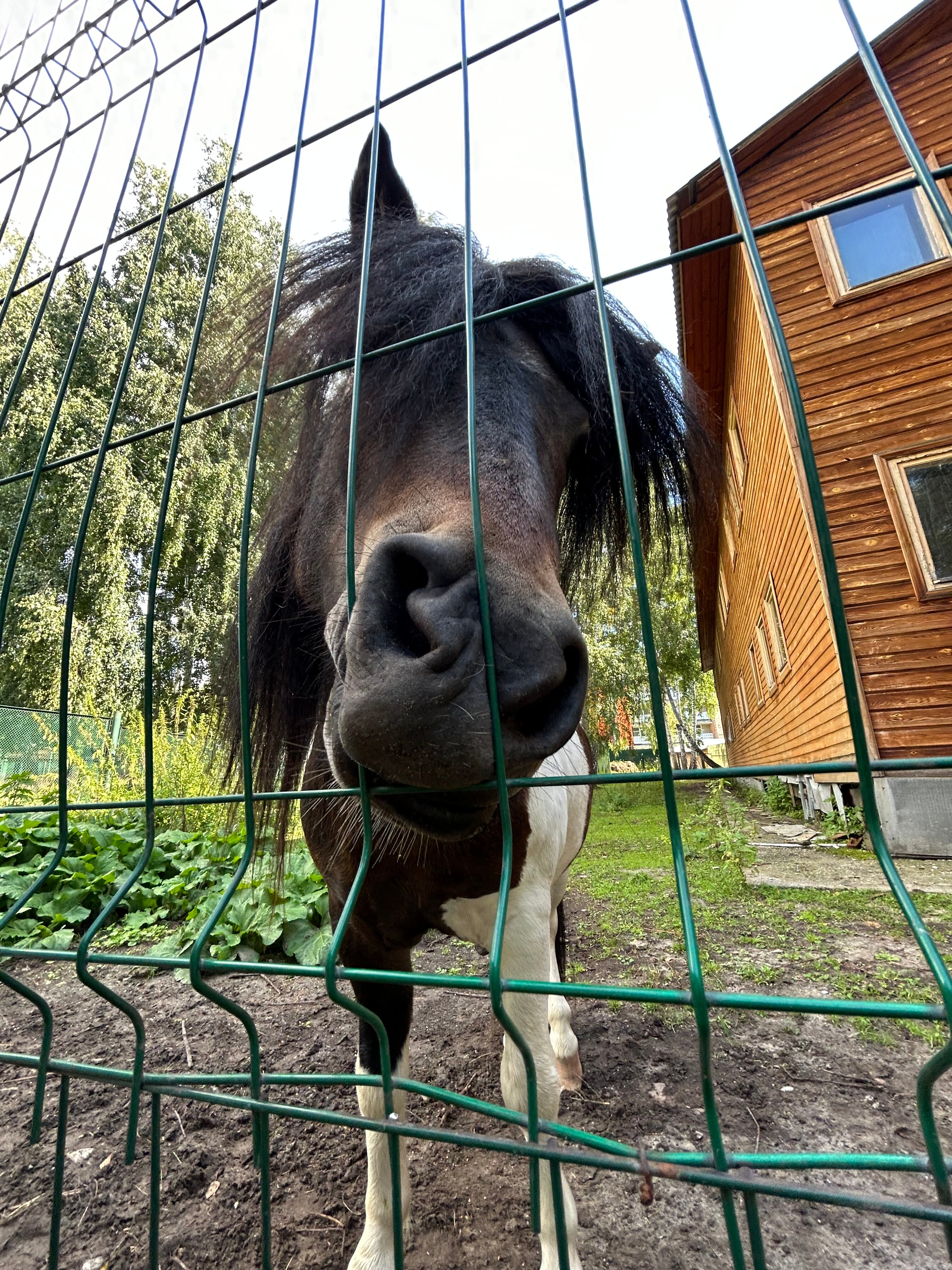 Фото Теремки