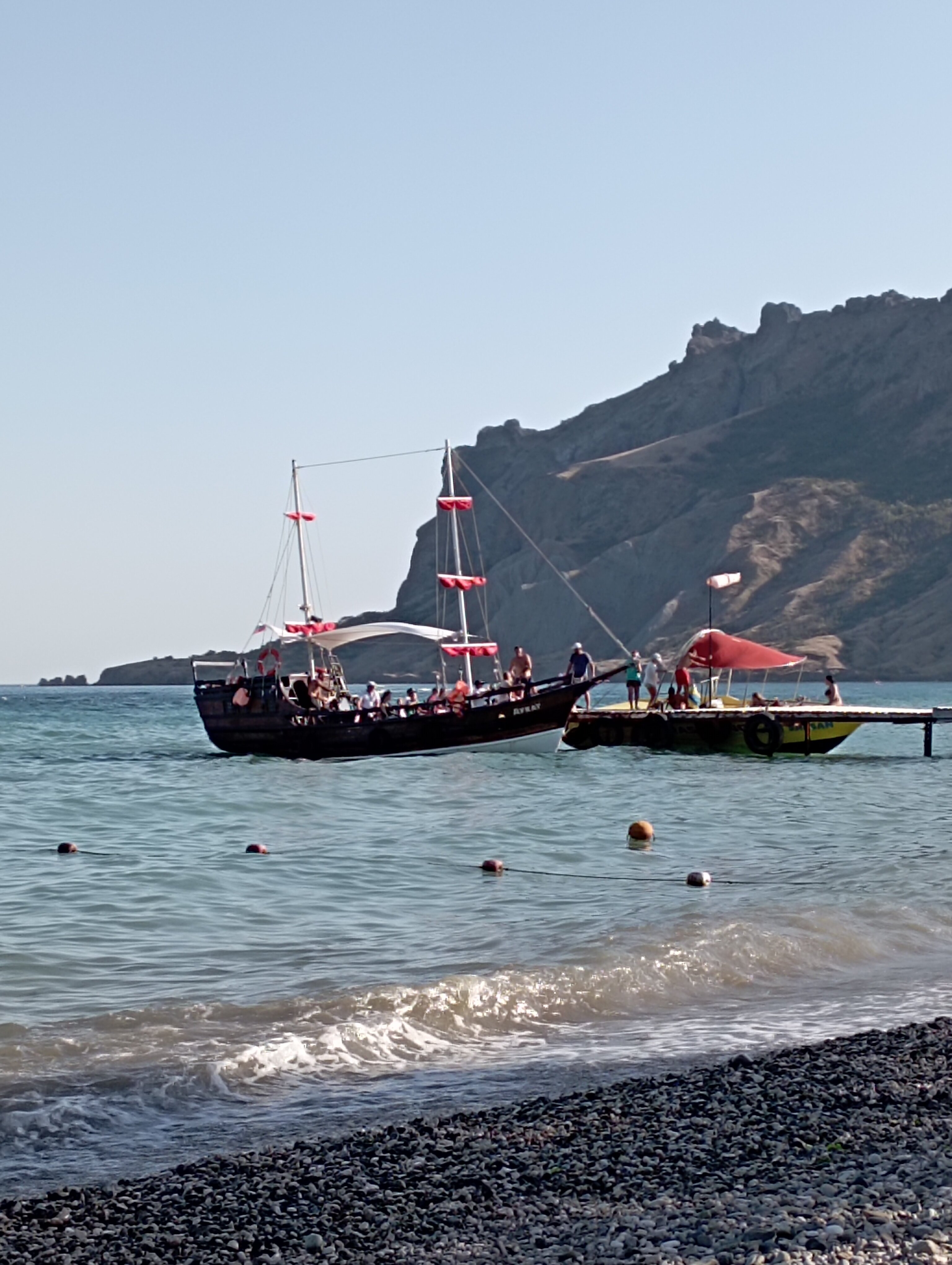 Фото Камелия-Кафа