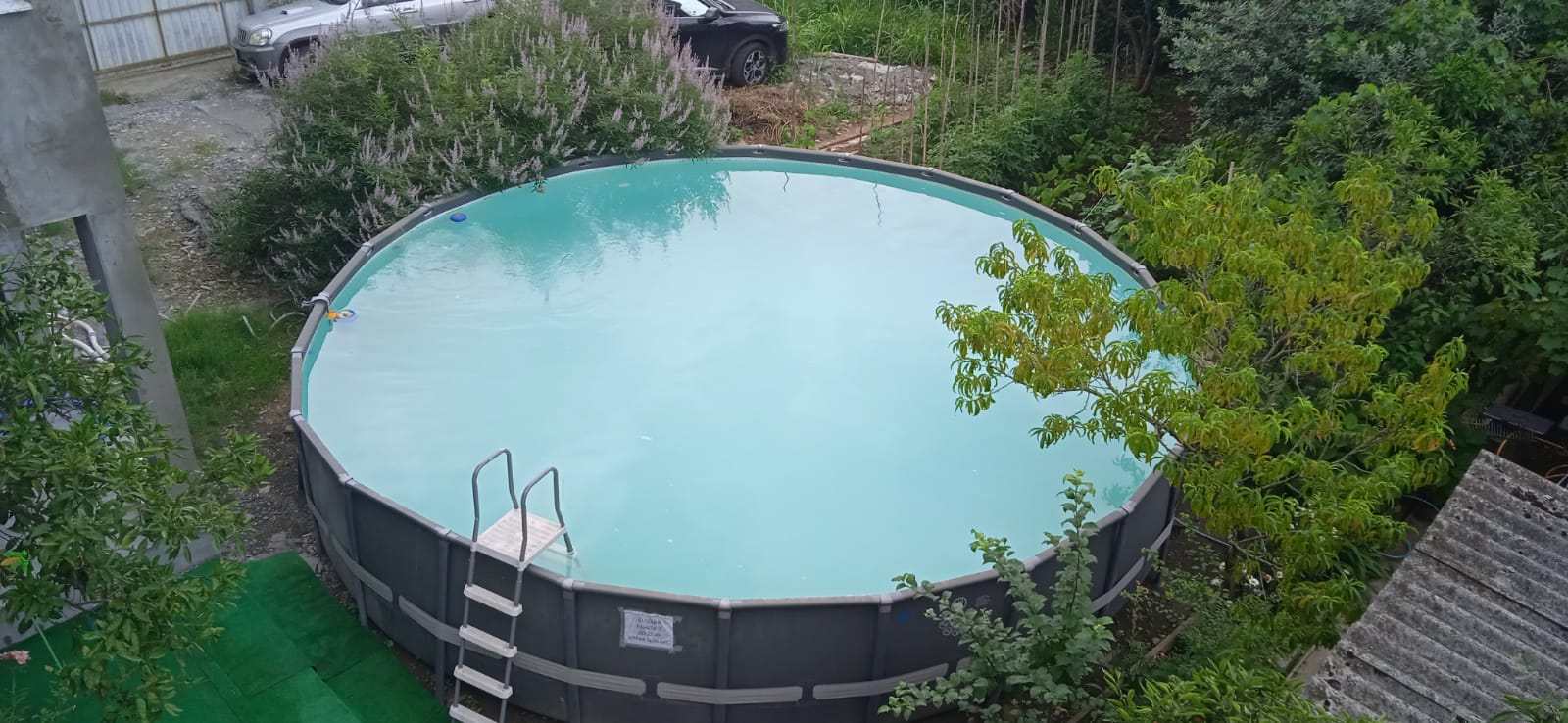 Фото Орхидея