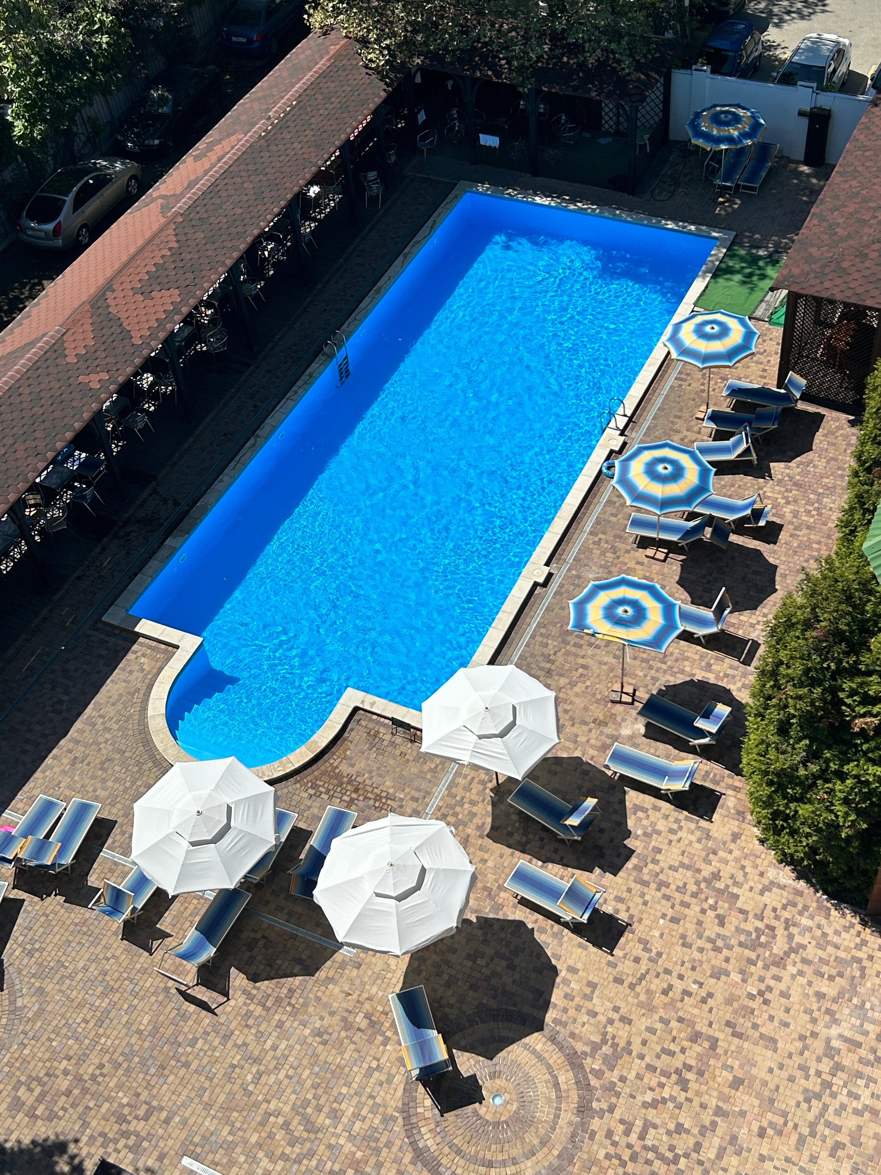 Фото Кипарис