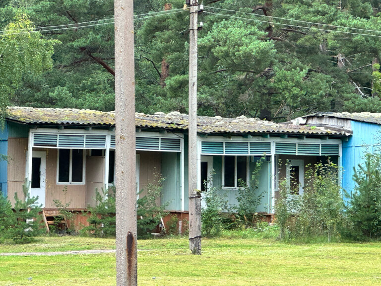 Фото Орлинка