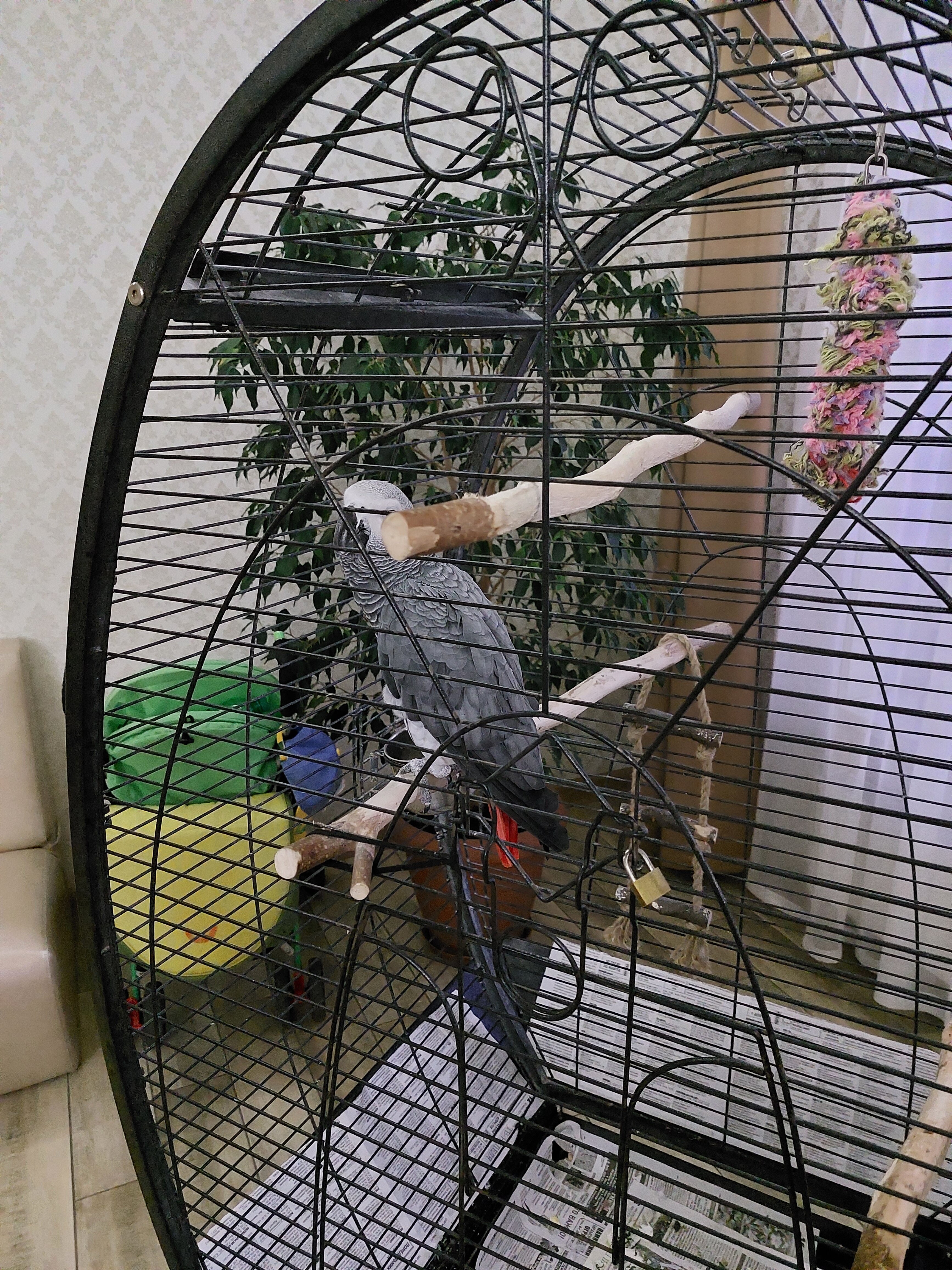 Фото НекрасовЪ