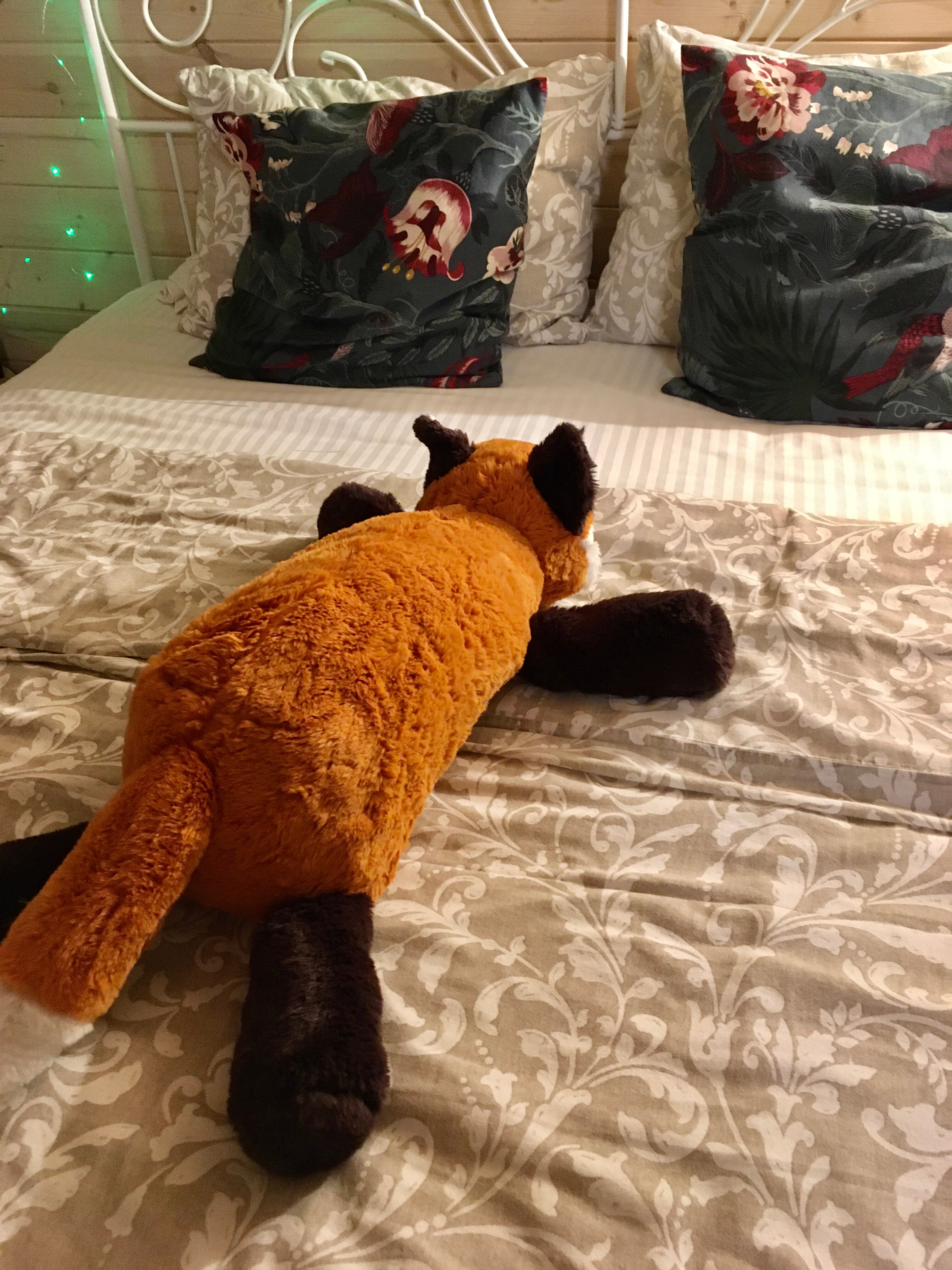 Фото Вилайоки АГРО