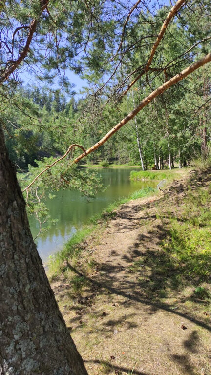 Фото Пухтолова Гора