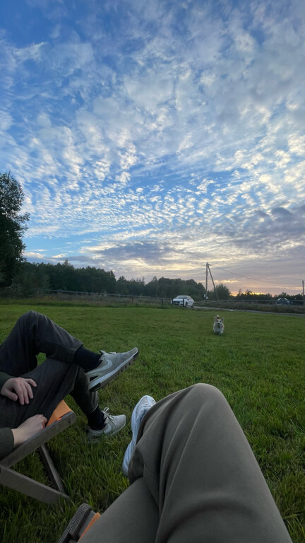 Фото Домики в поле