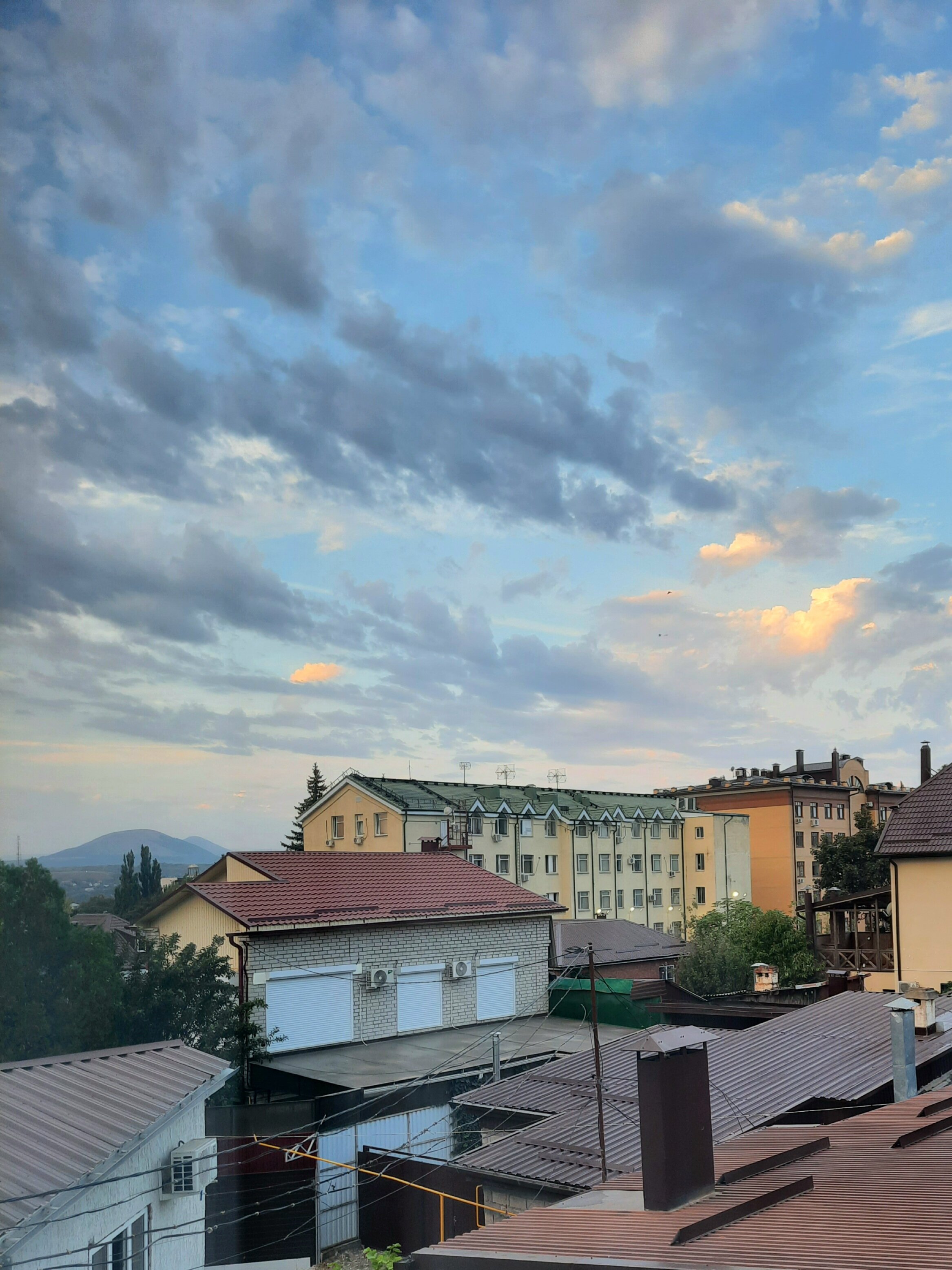 Фото Оливия