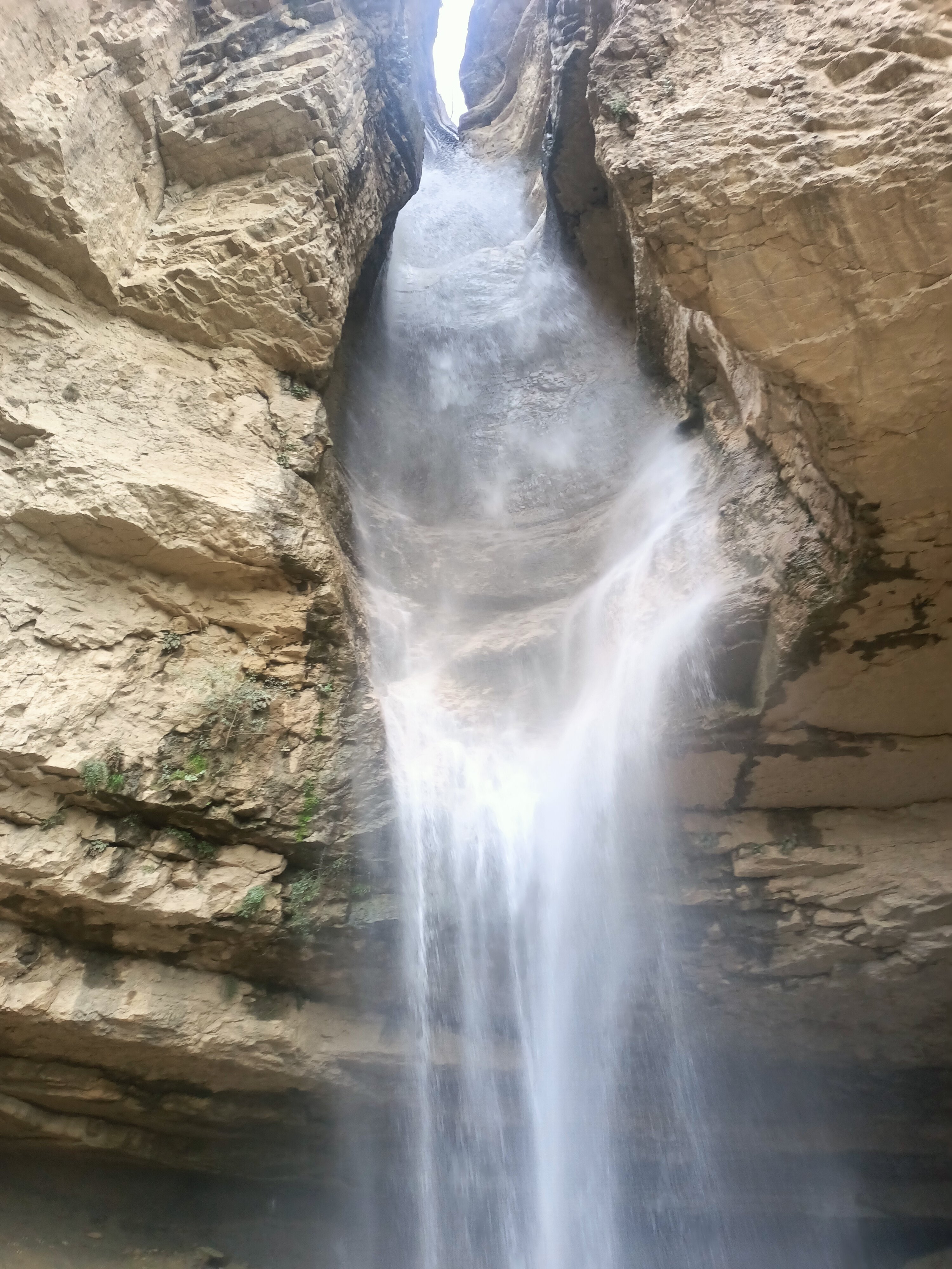 Фото Терраса 95