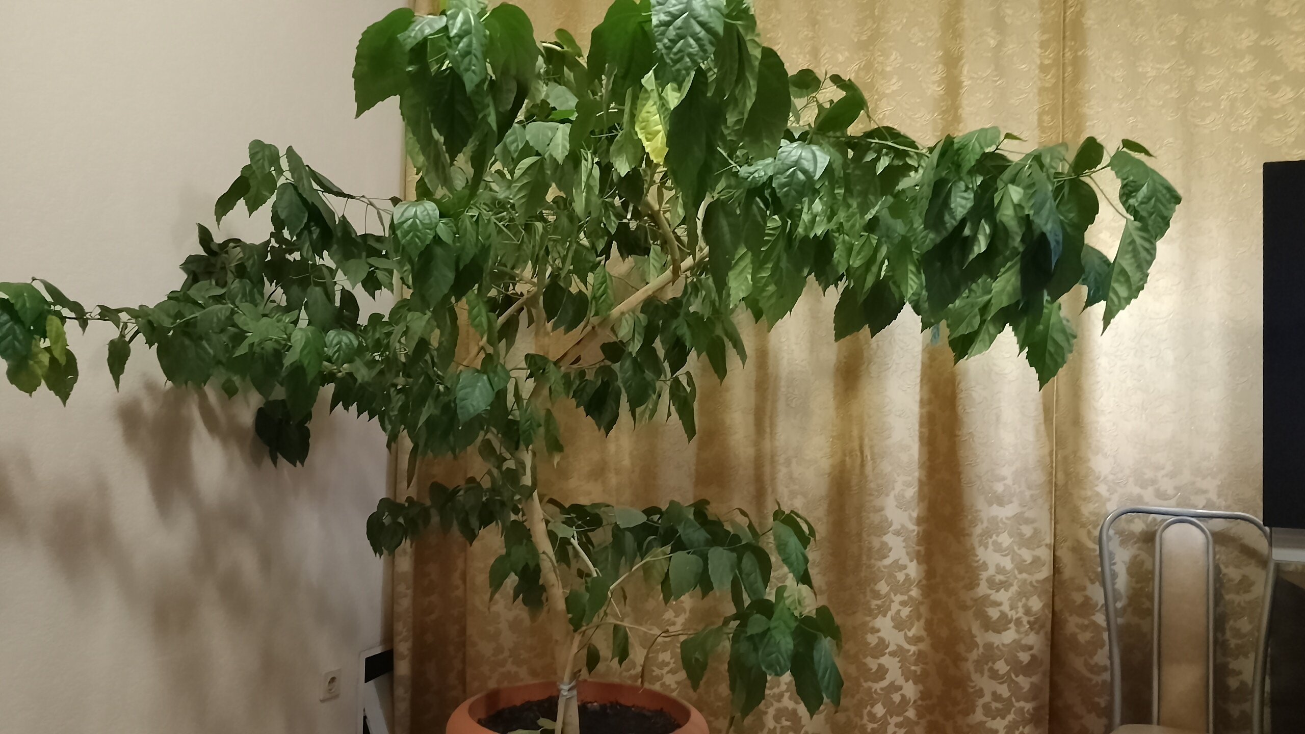 Фото Сказка