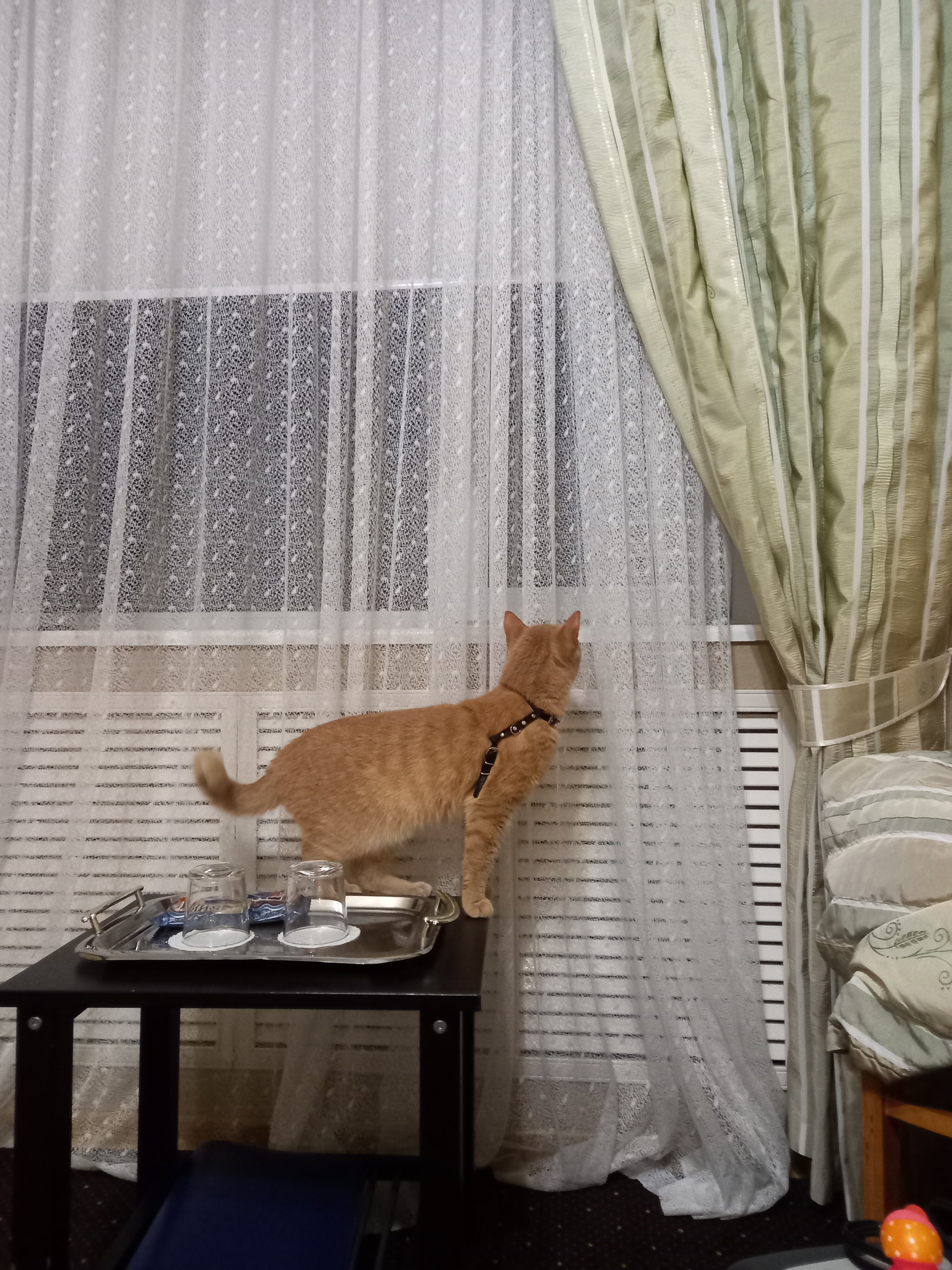 Фото Транзит