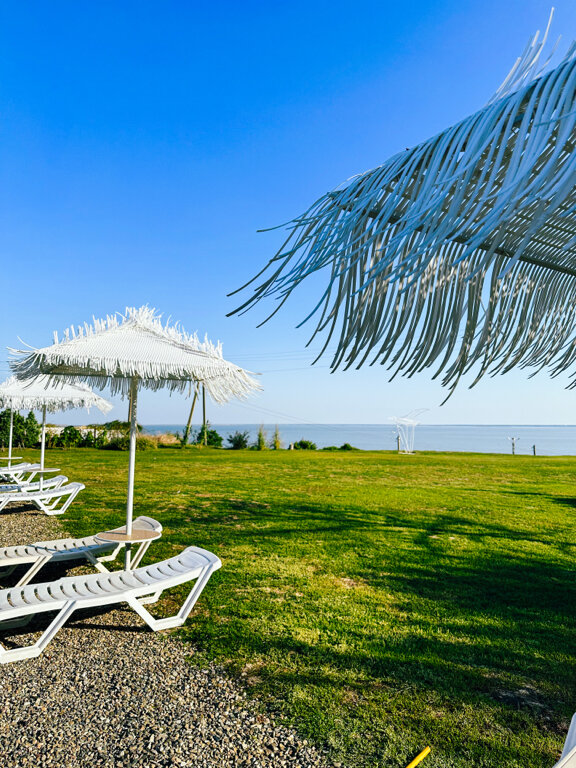 Фото Альбатрос