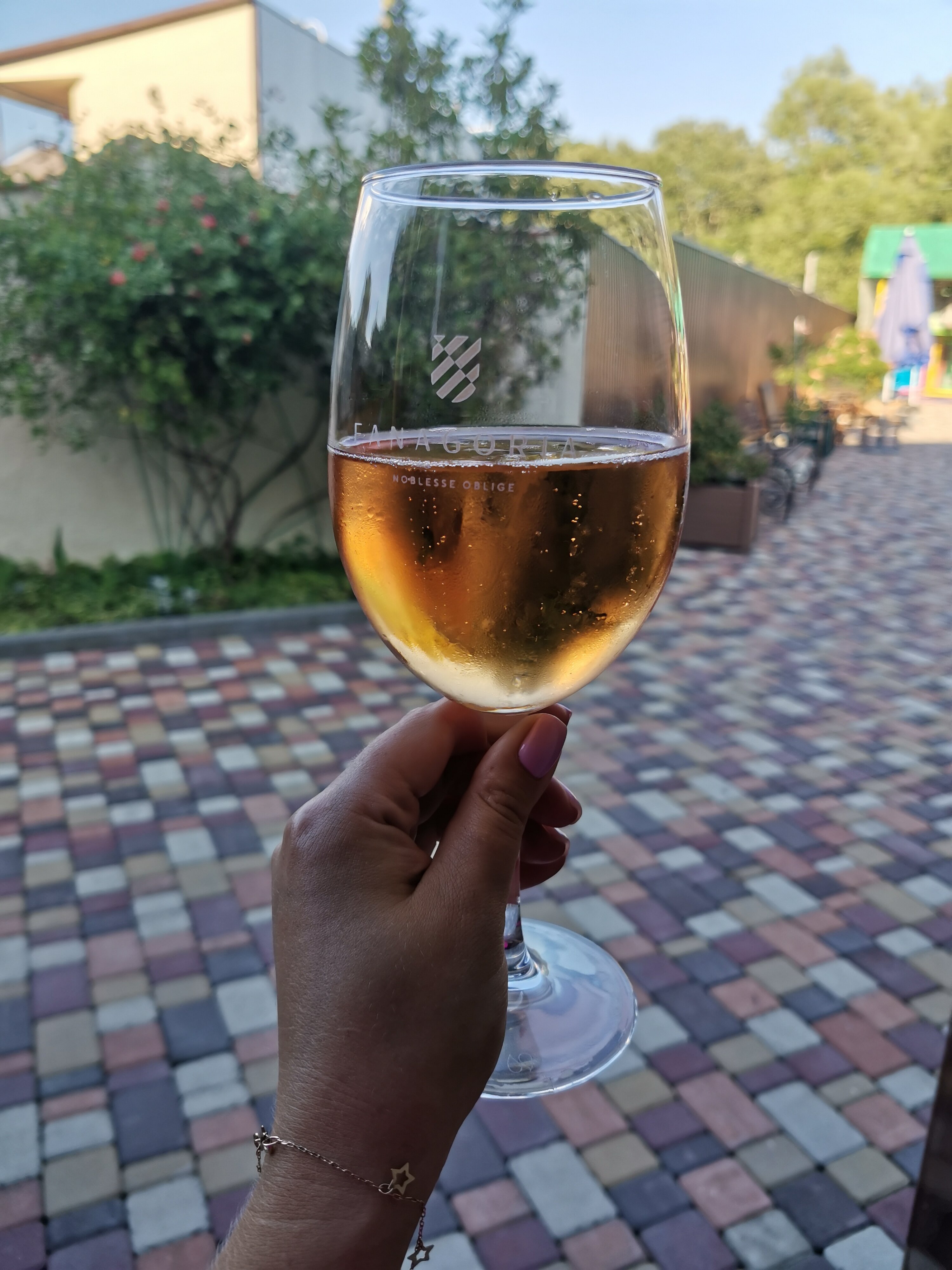 Фото Бригантина