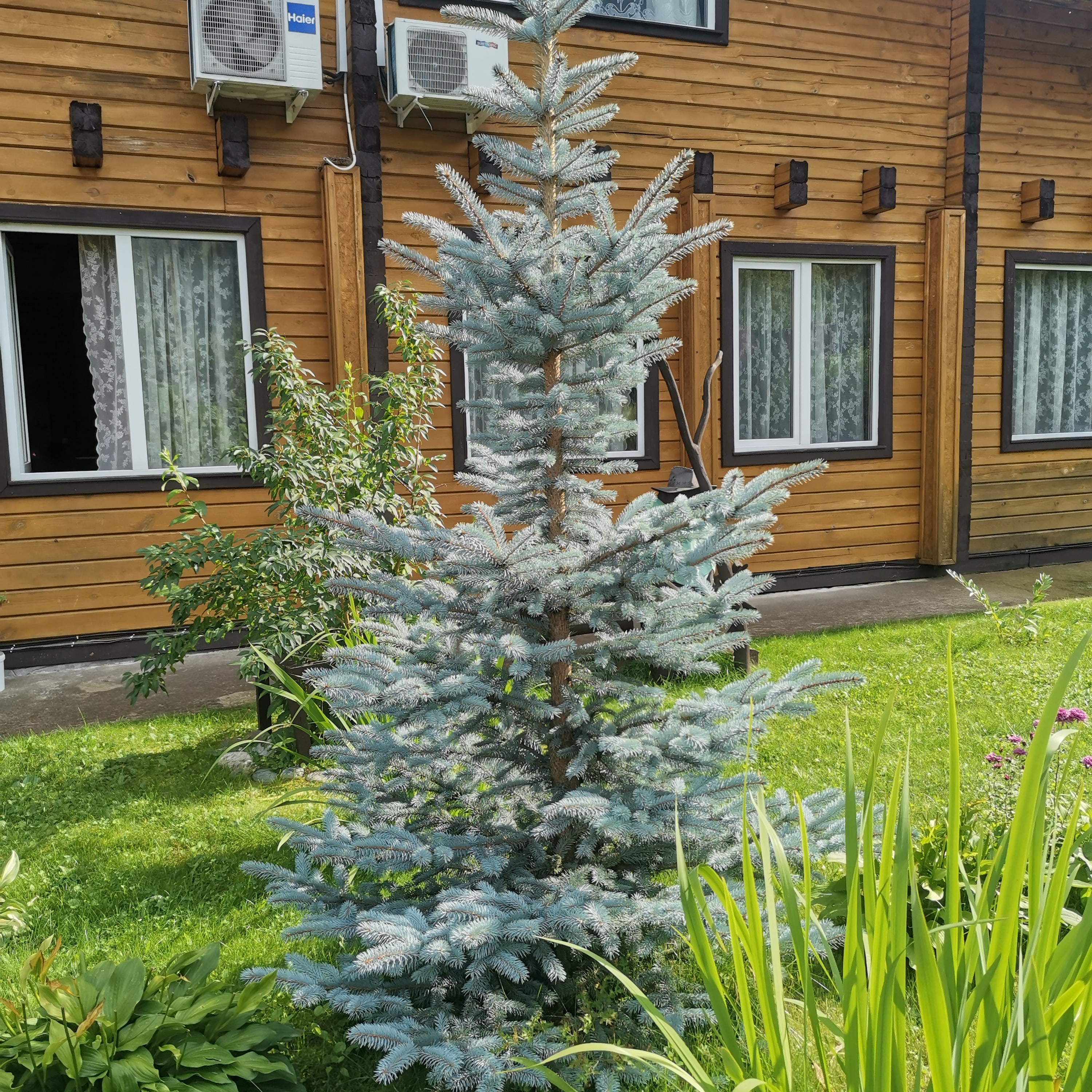 Фото Усадьба Славная