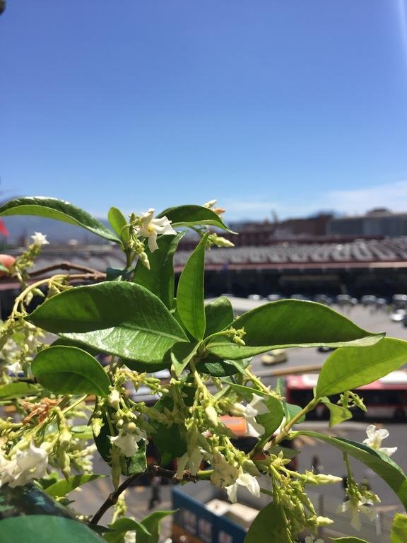 Фото Garibaldi Suite