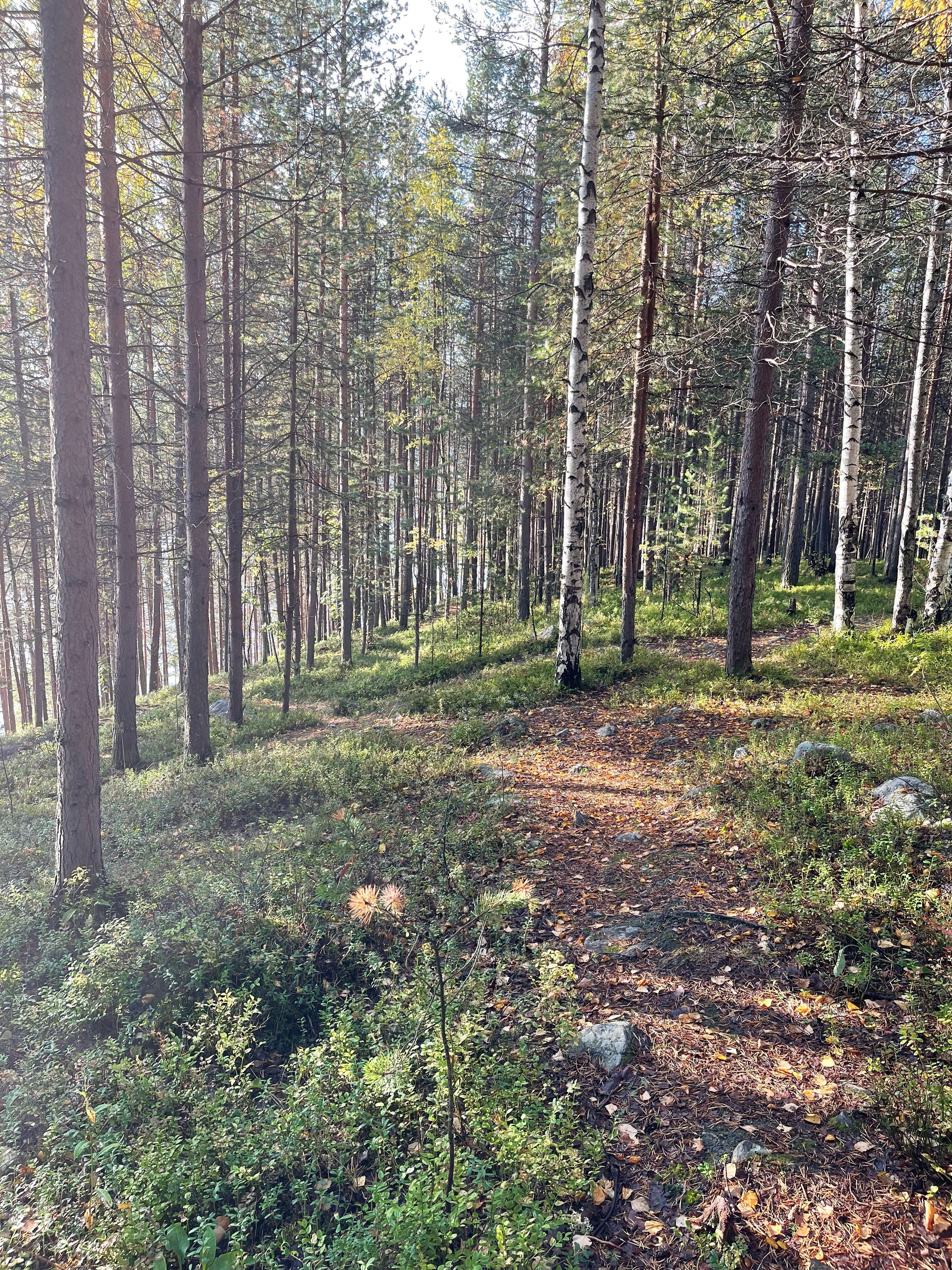 Фото Нивские Берега