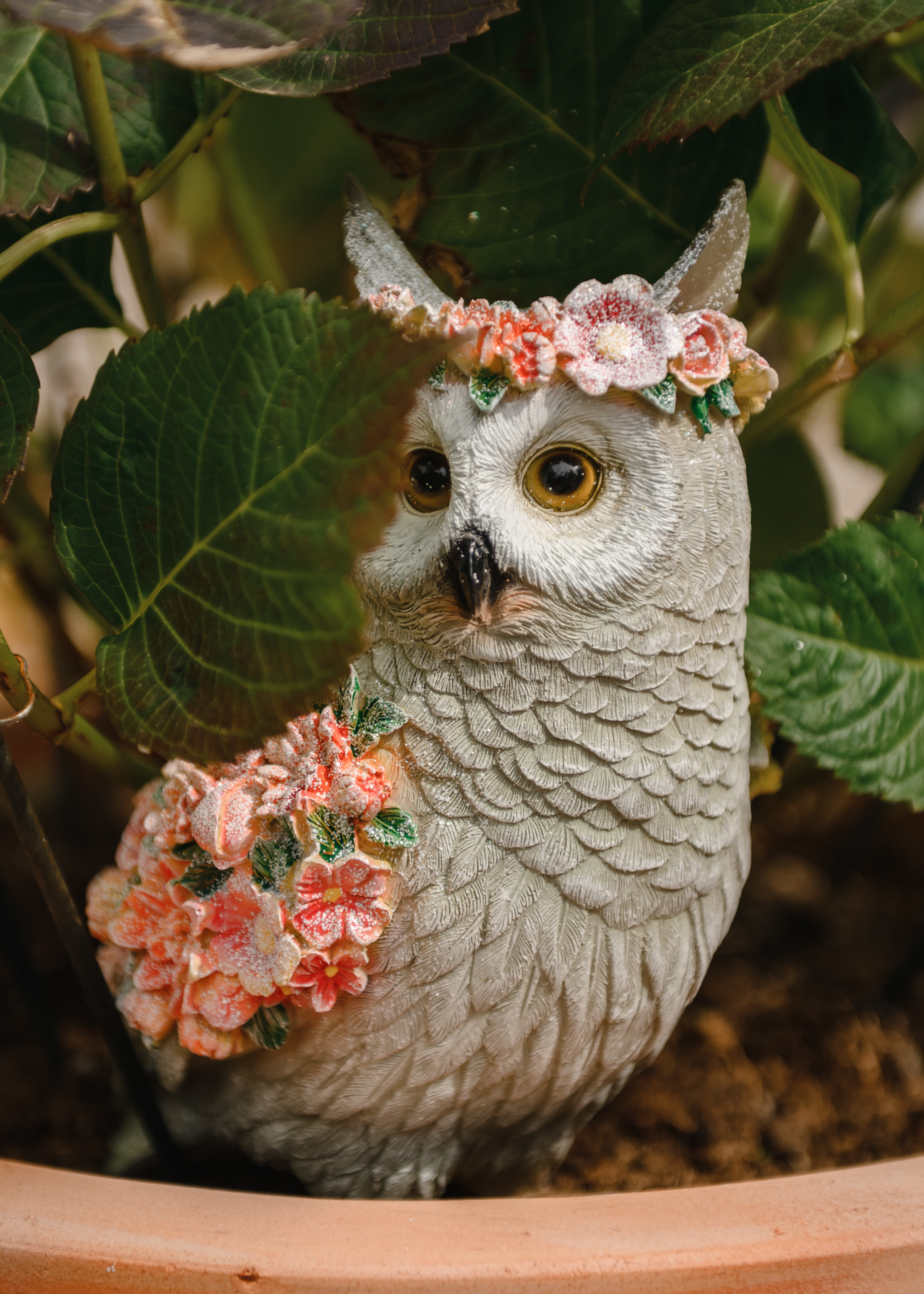 Фото Отель Зелёная Сова