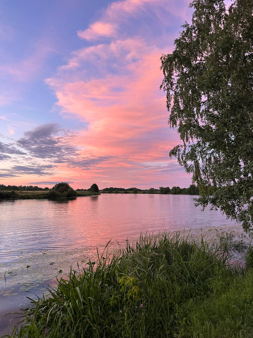 Фото HappyTreeCamp