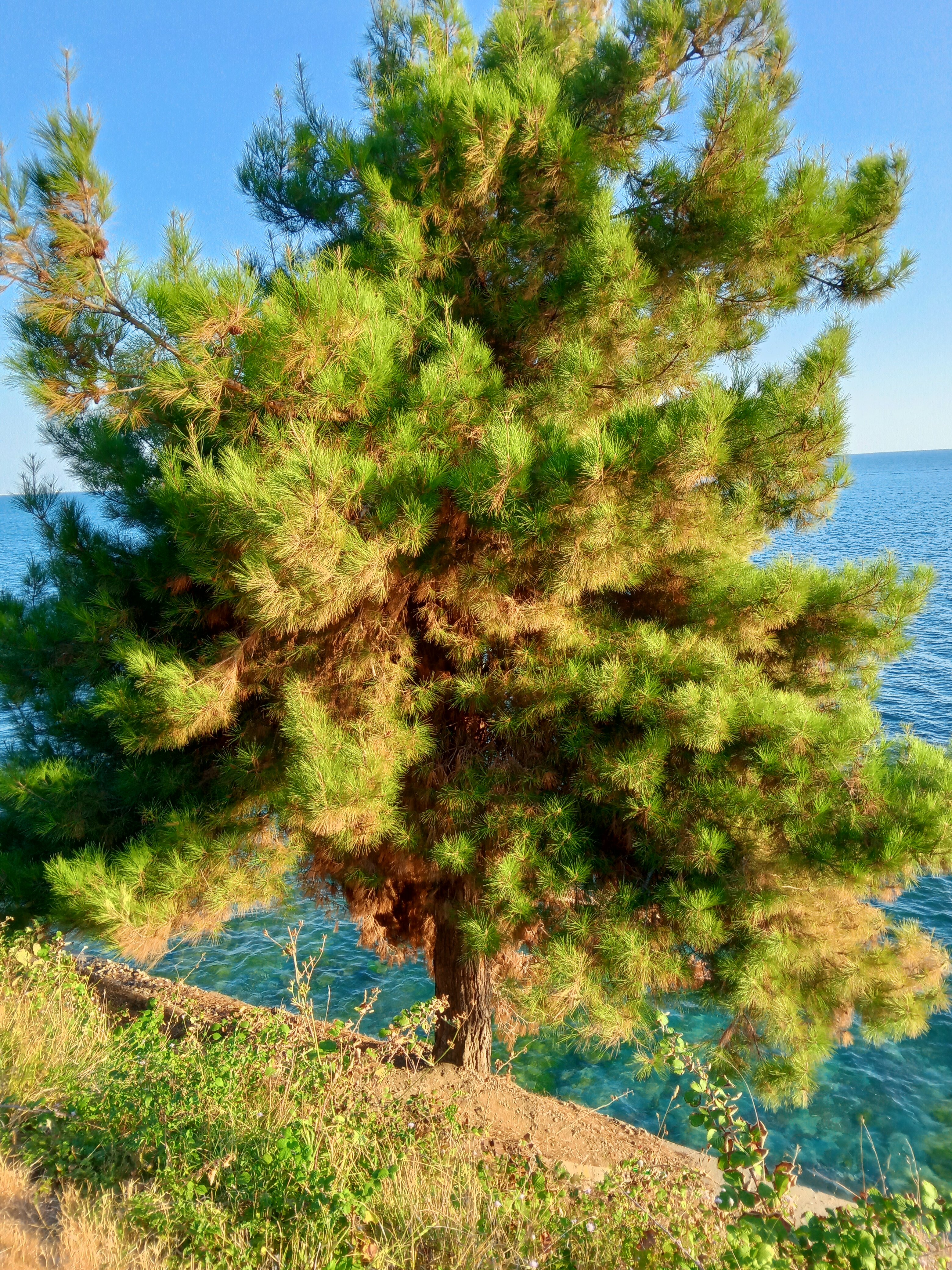 Фото Горизонт