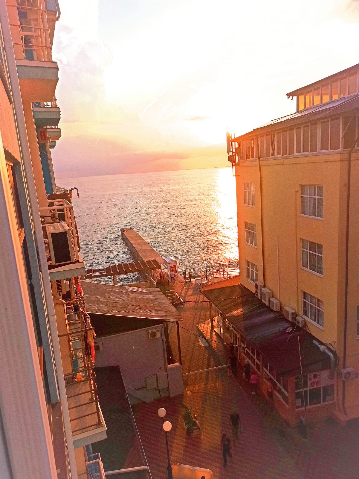 Фото Дельфин