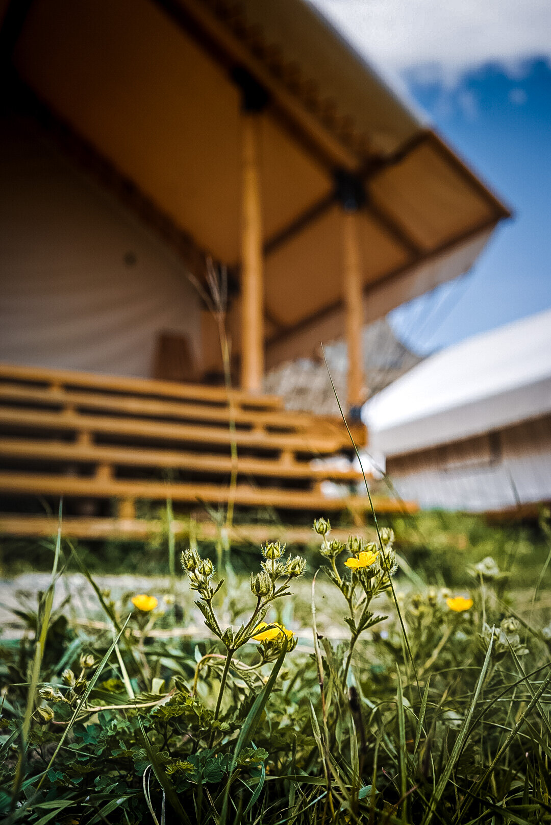 Фото Горный Ветер