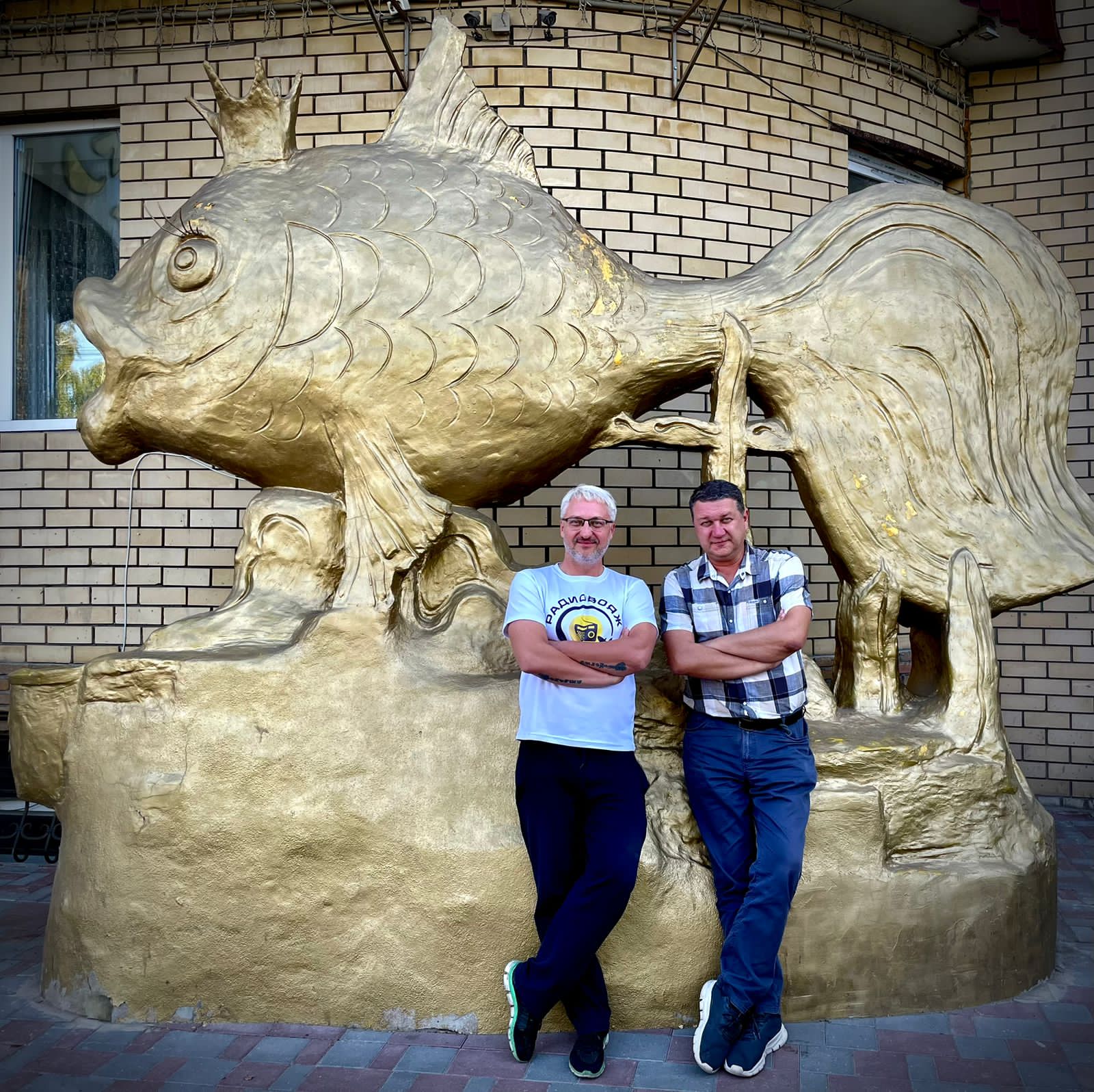 Фото Золотая рыбка