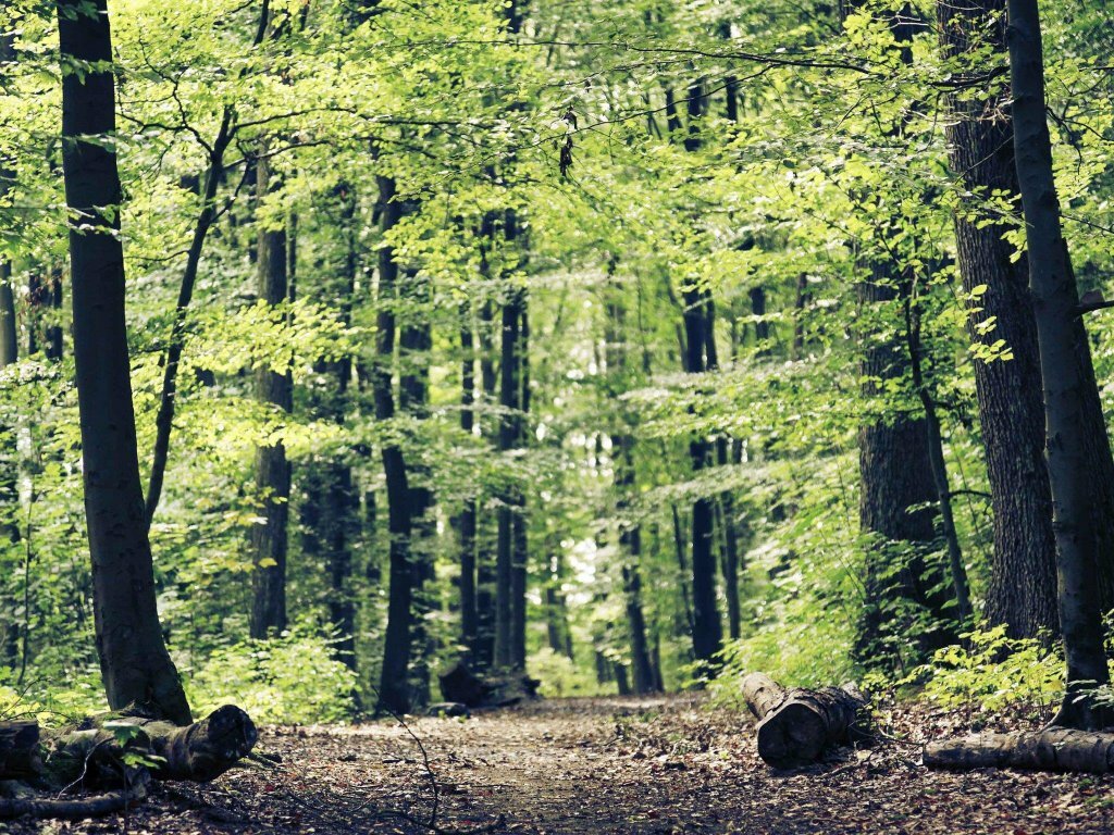 Фото Mercure Hotel Koeln City Friesenstrasse