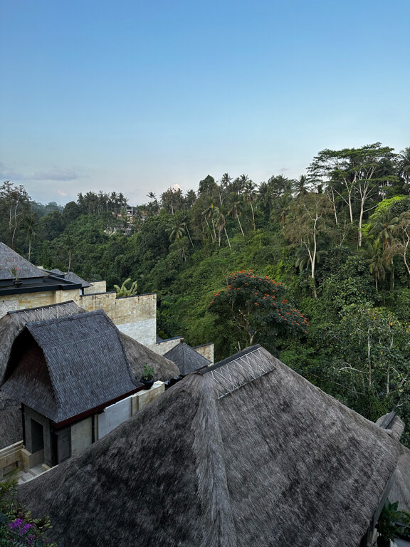 Фото Viceroy Bali