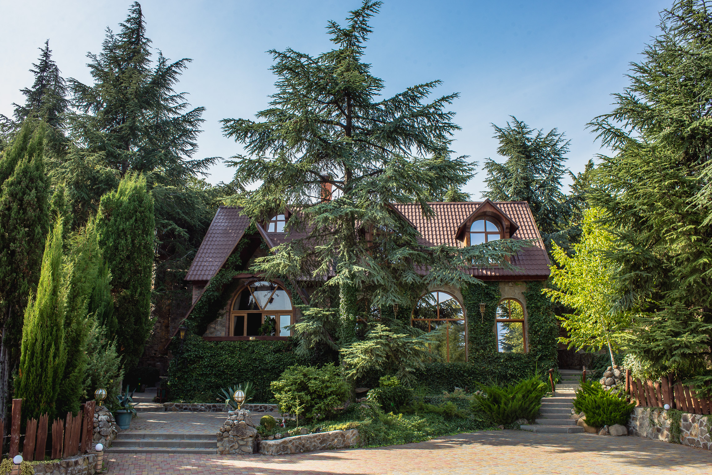 Фото Лесной