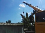 Crimea Flora (улица Генерала Васильева, 16А), urban improvement