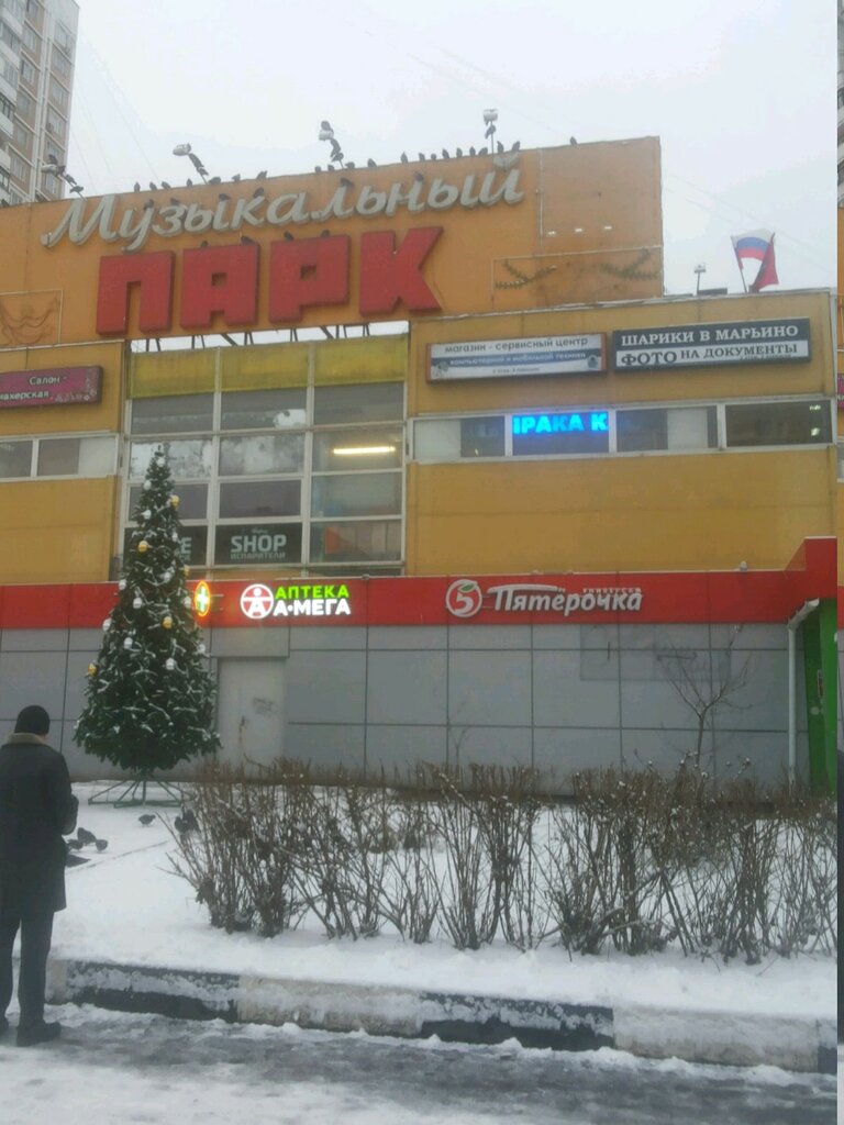 Payment terminal QIWI, Moscow, photo