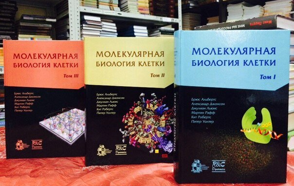 Книжный магазин Научный мир, Москва, фото