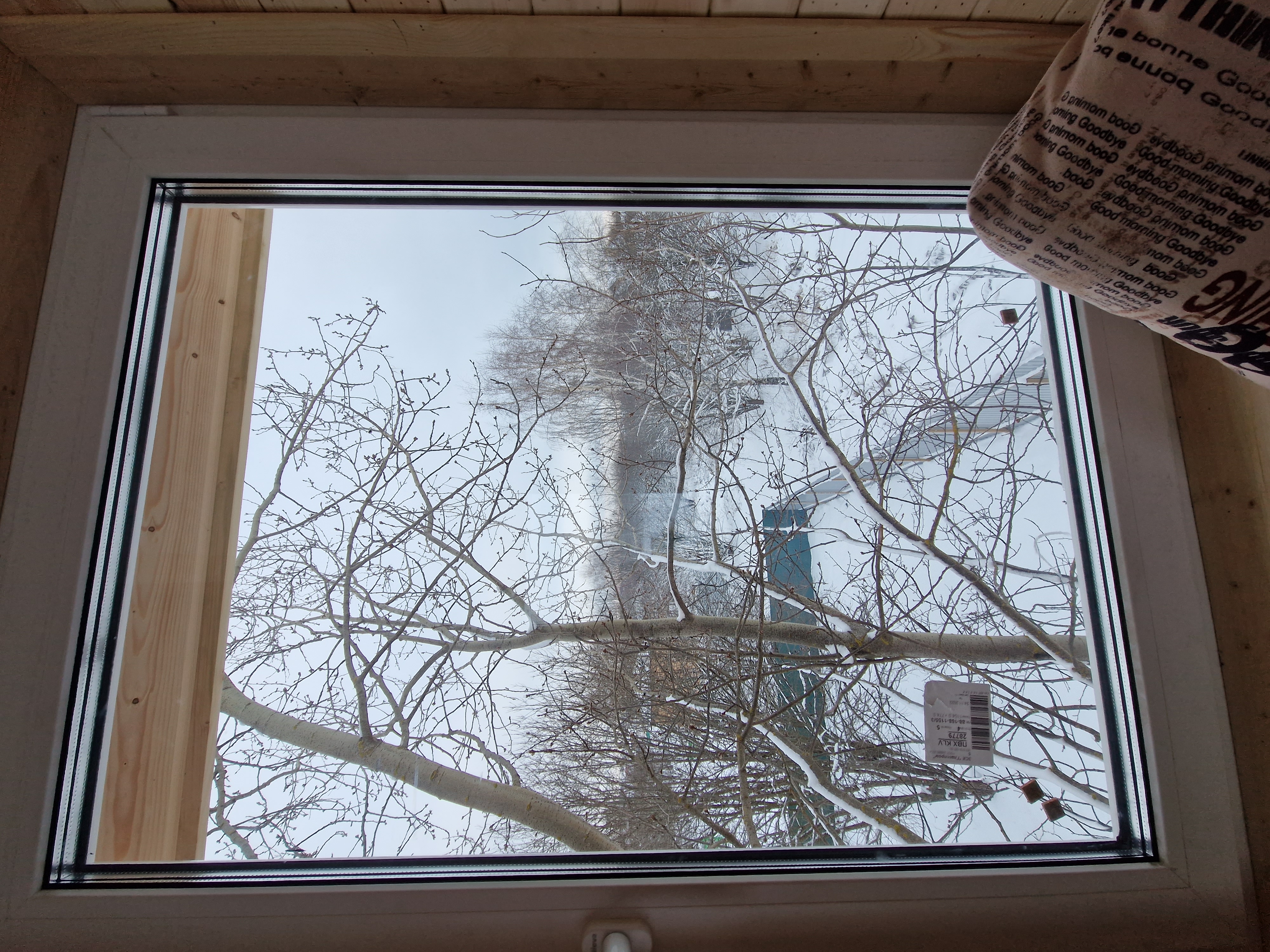 Фото Светлая роща