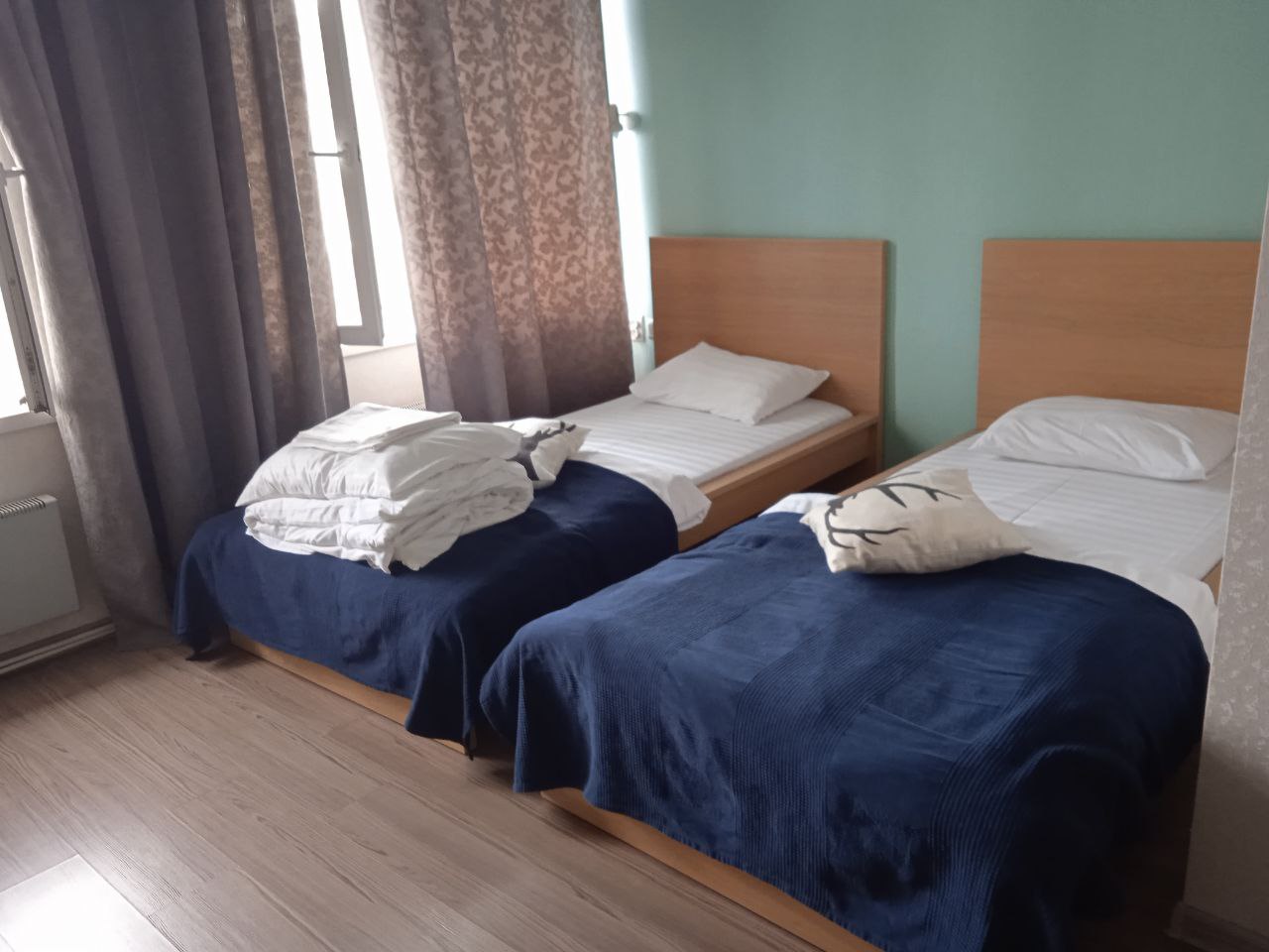 Фото Наутилус