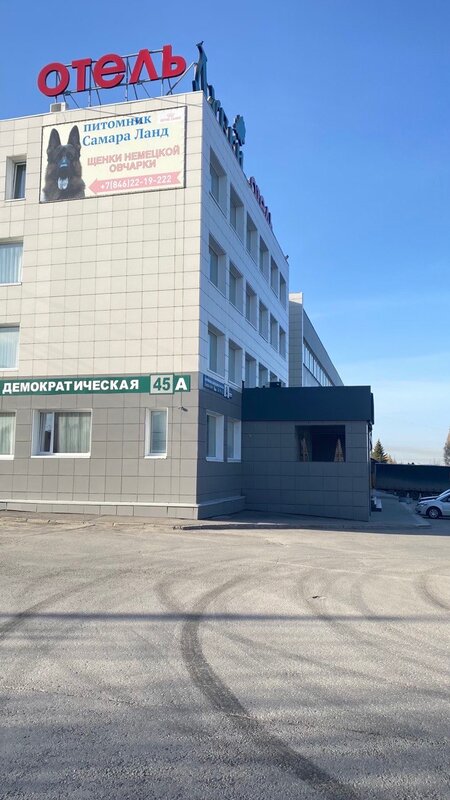 Дубки — фото 36