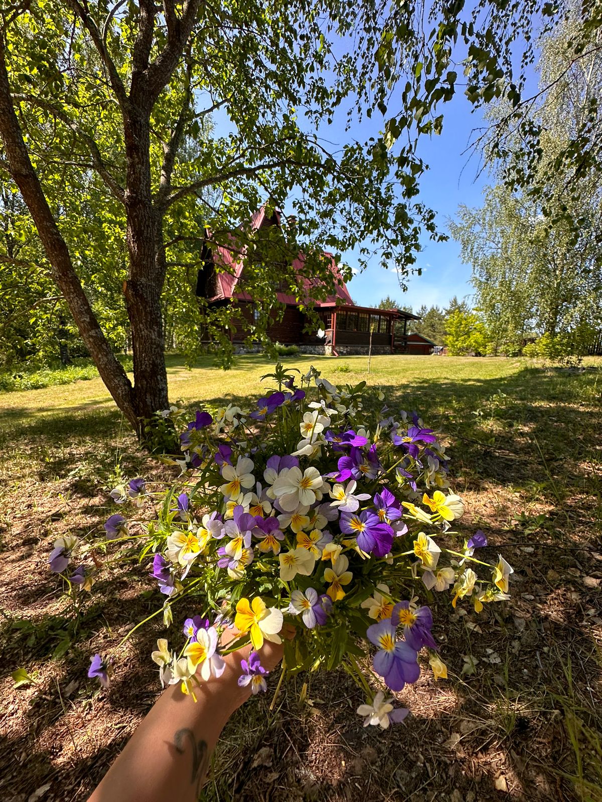 Фото Уникальный дом