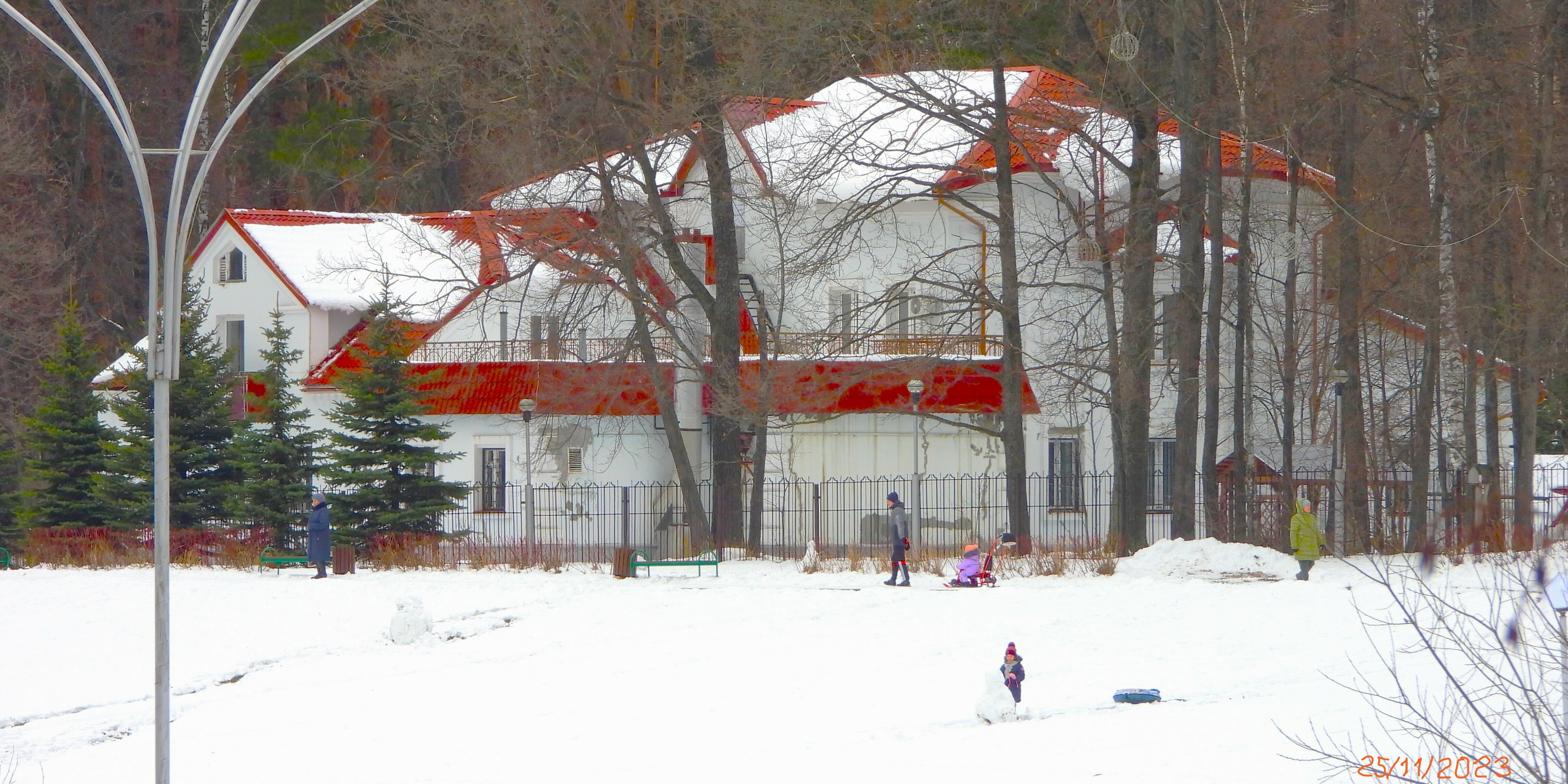 Фото Лесная