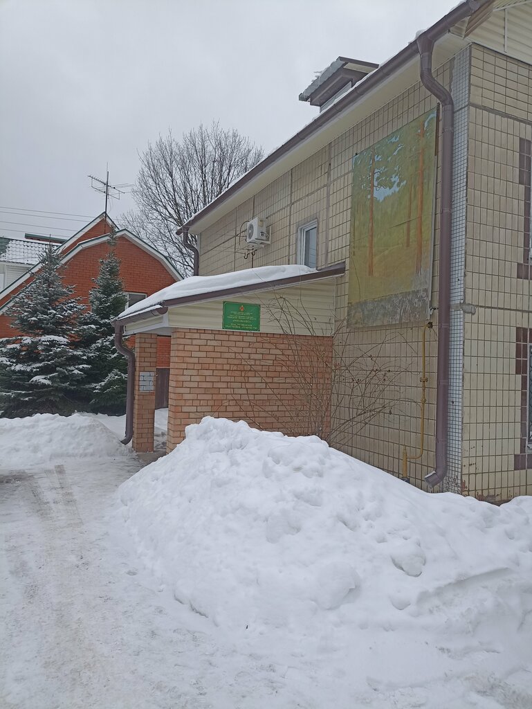 الغابات Rozhdestvenskoye Uchastkovoye Lesnichestvo pos. Snegiri ، موسكو ومحافظة موسكو، صورة
