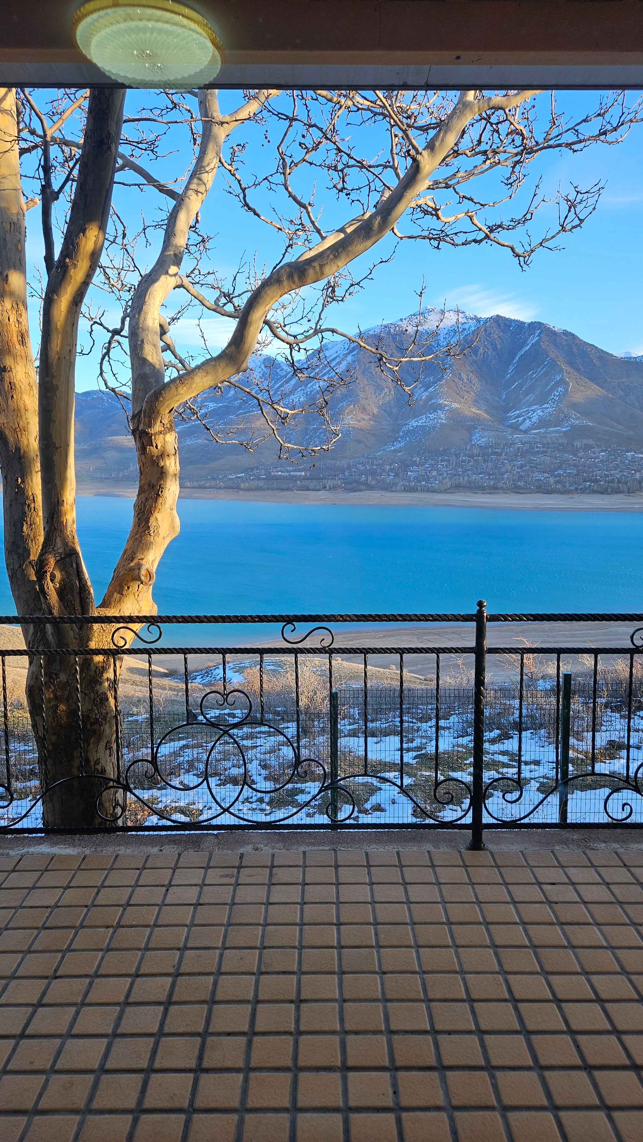 Фото Avenue Park Hotel